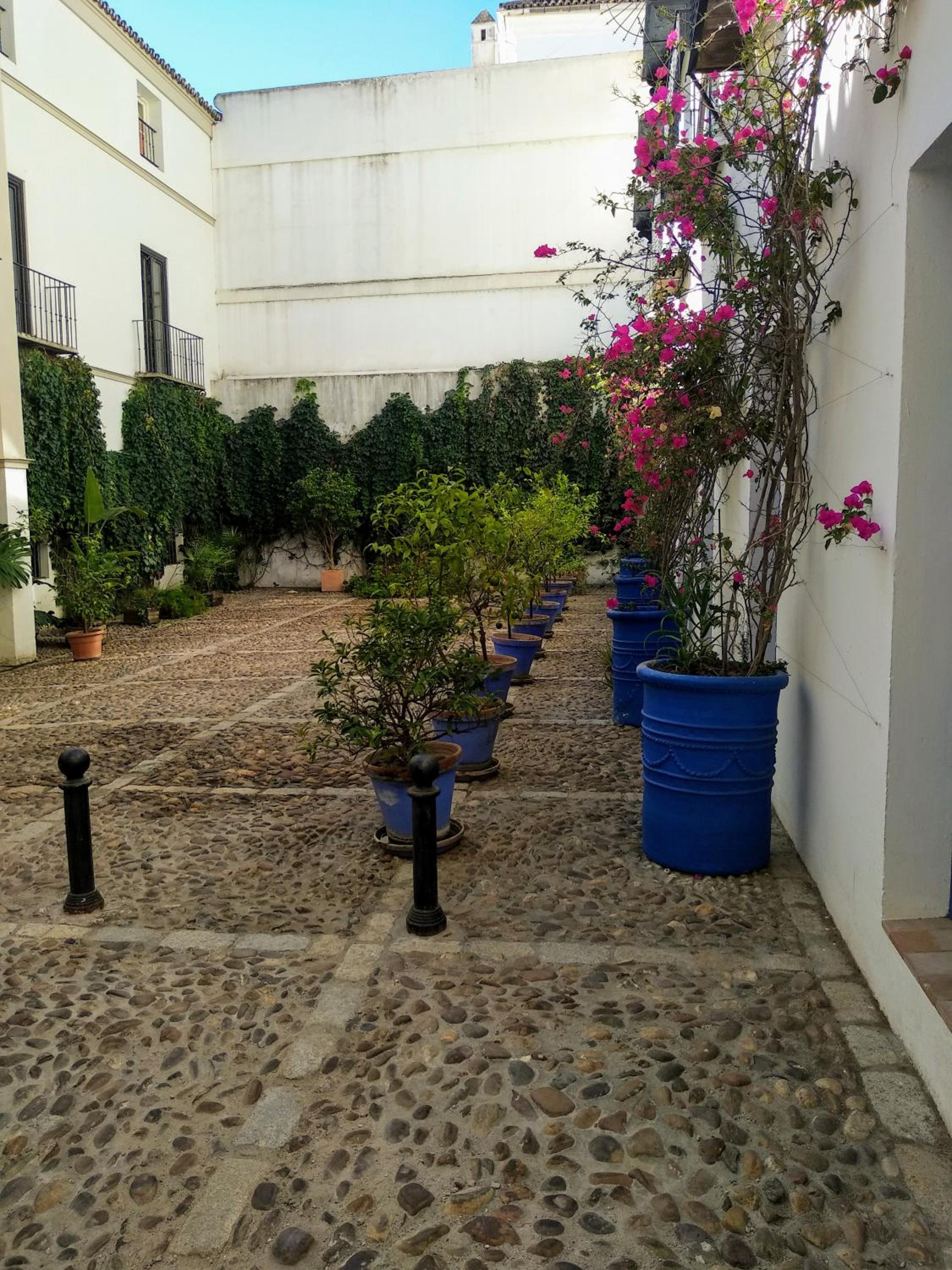 WISH SUITE JUDERIA DE SEVILLA photo 3