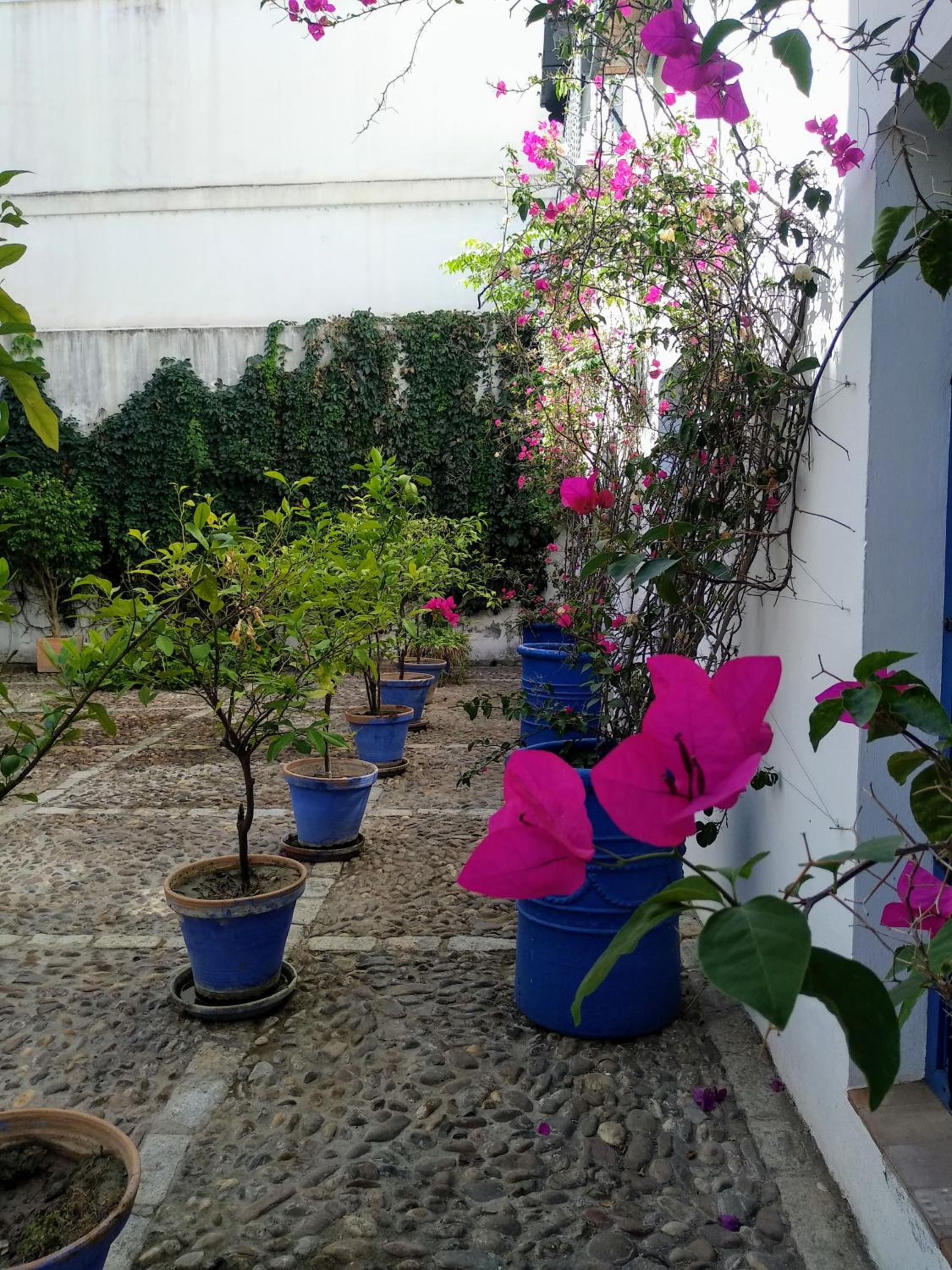 Photo 42