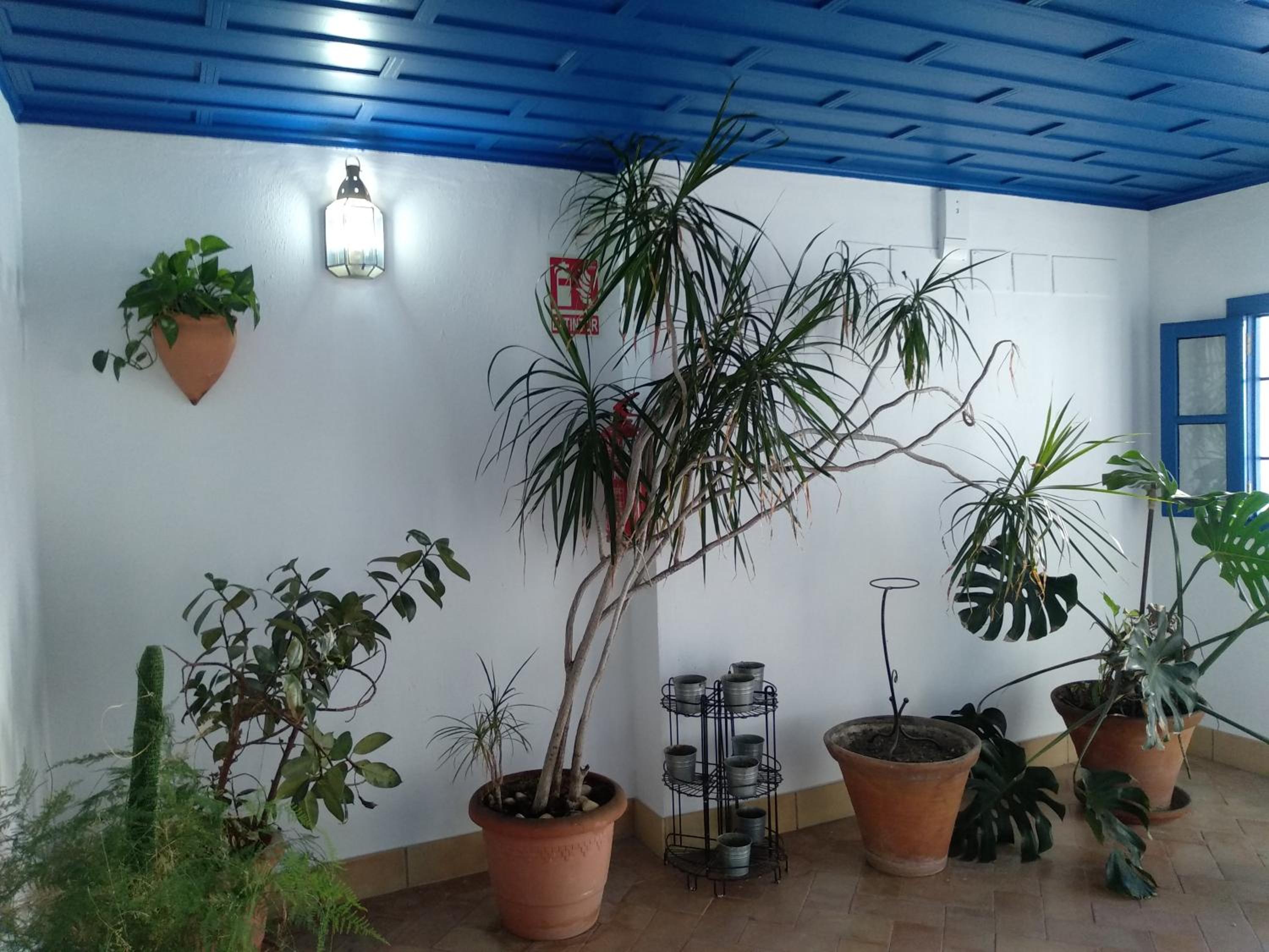 WISH SUITE JUDERIA DE SEVILLA photo 2