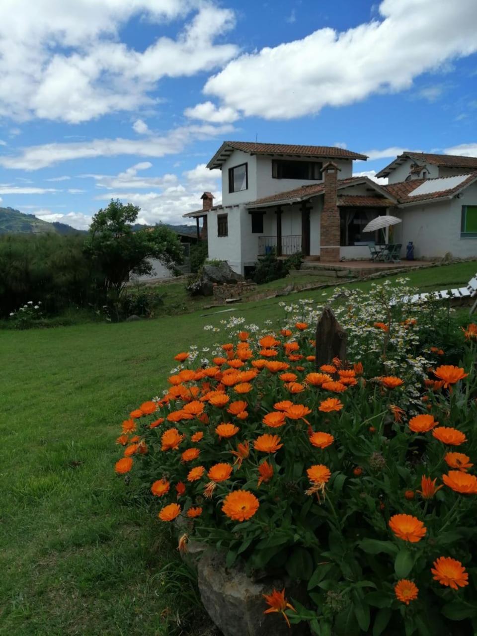 Wepa la Pepa Campestre