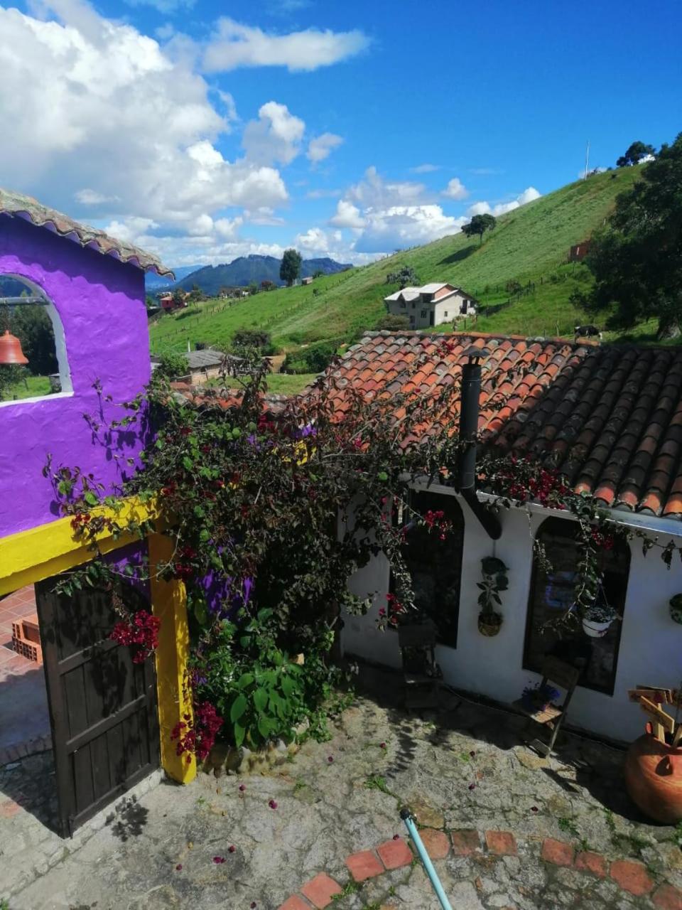 Wepa la Pepa Campestre