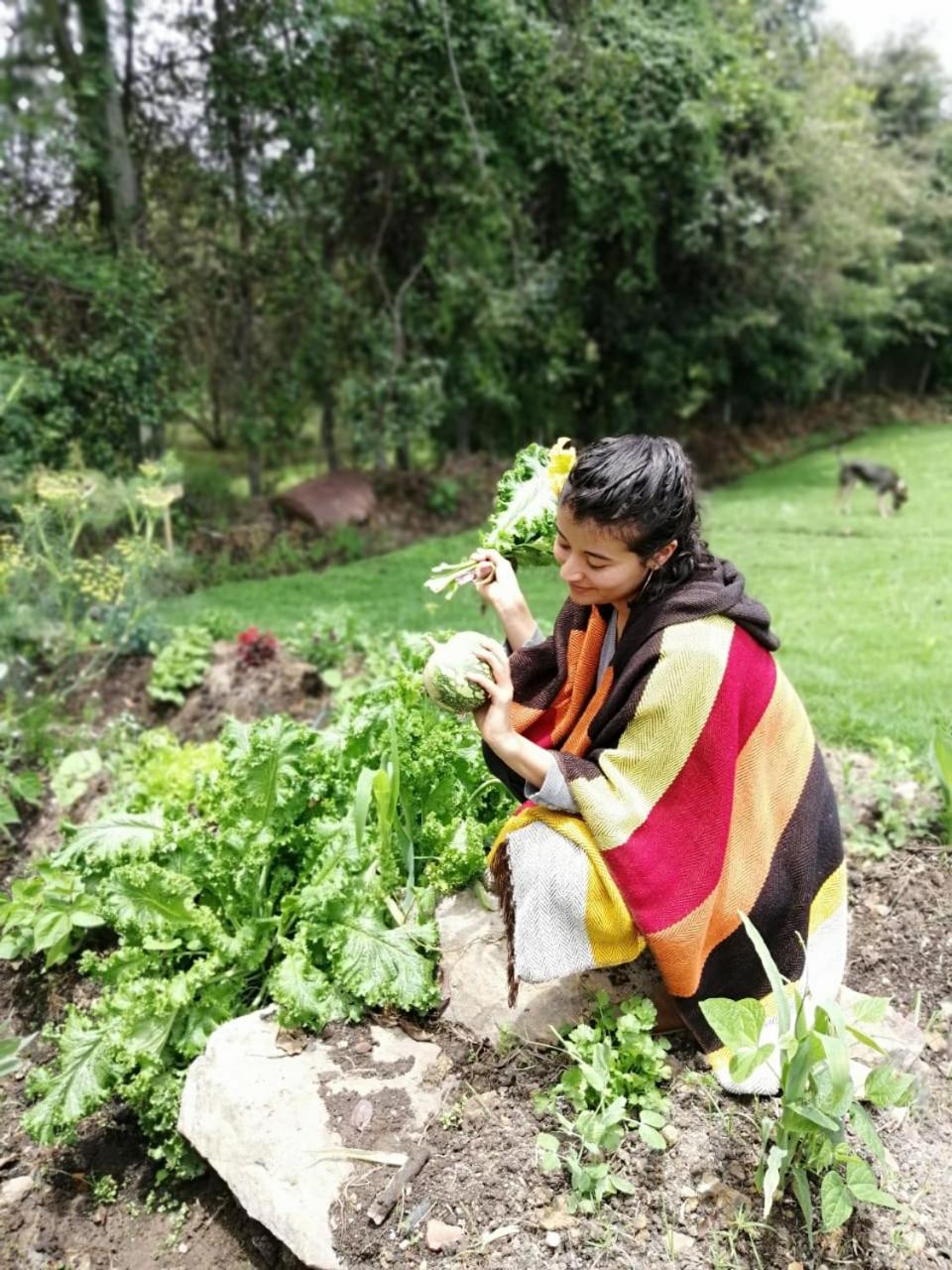 Wepa la Pepa Campestre