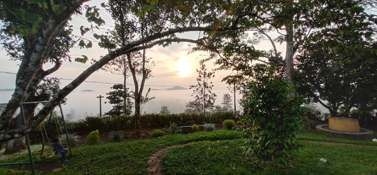 garden