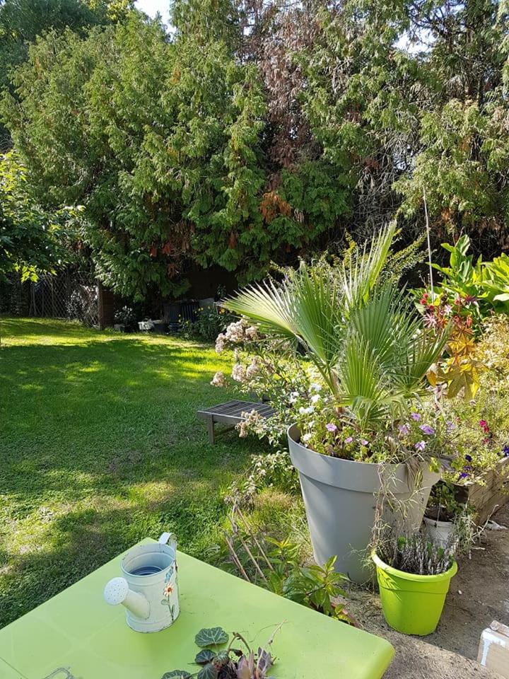 Photo 46