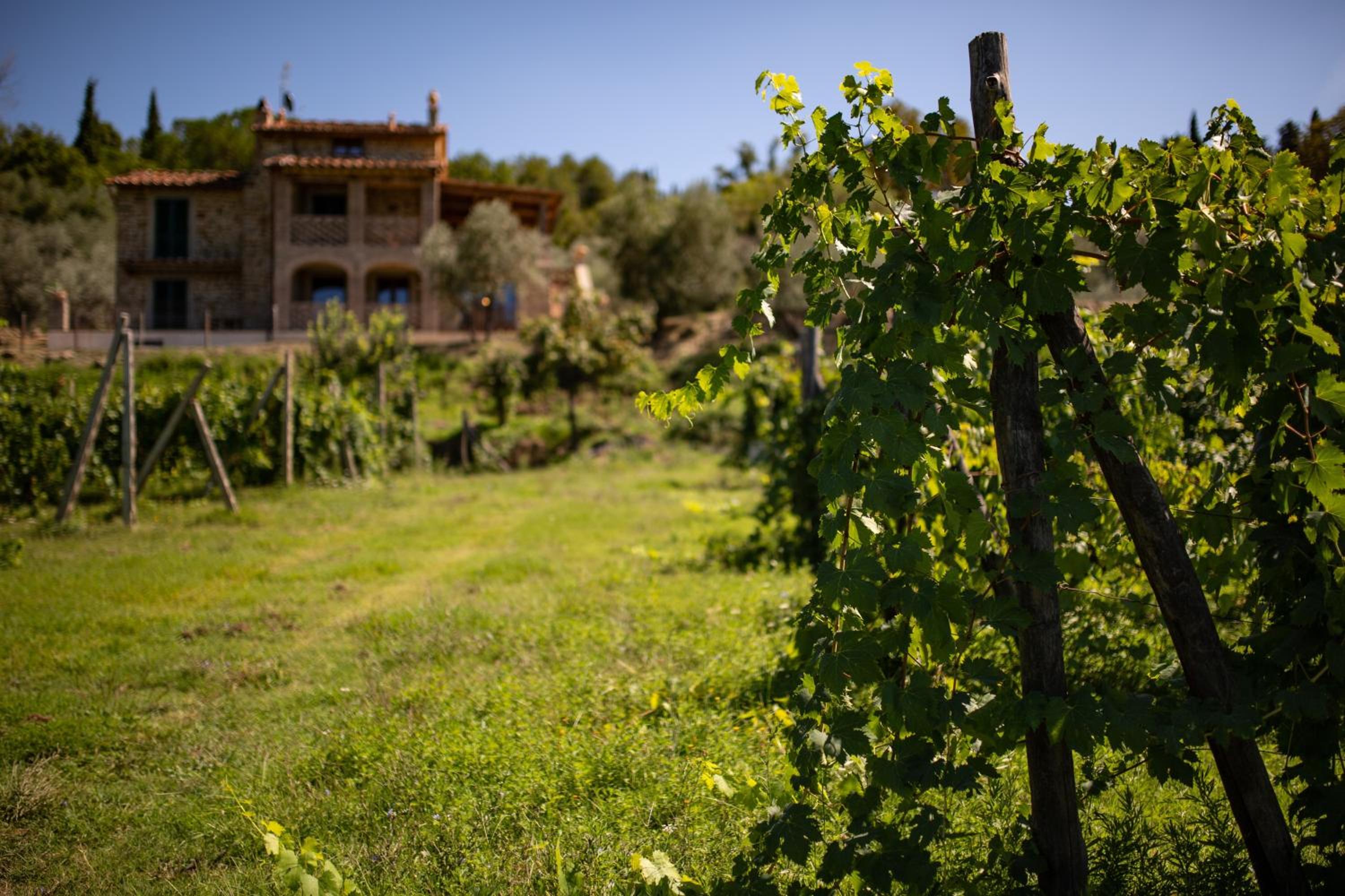 VILLA GIOTTO view 2