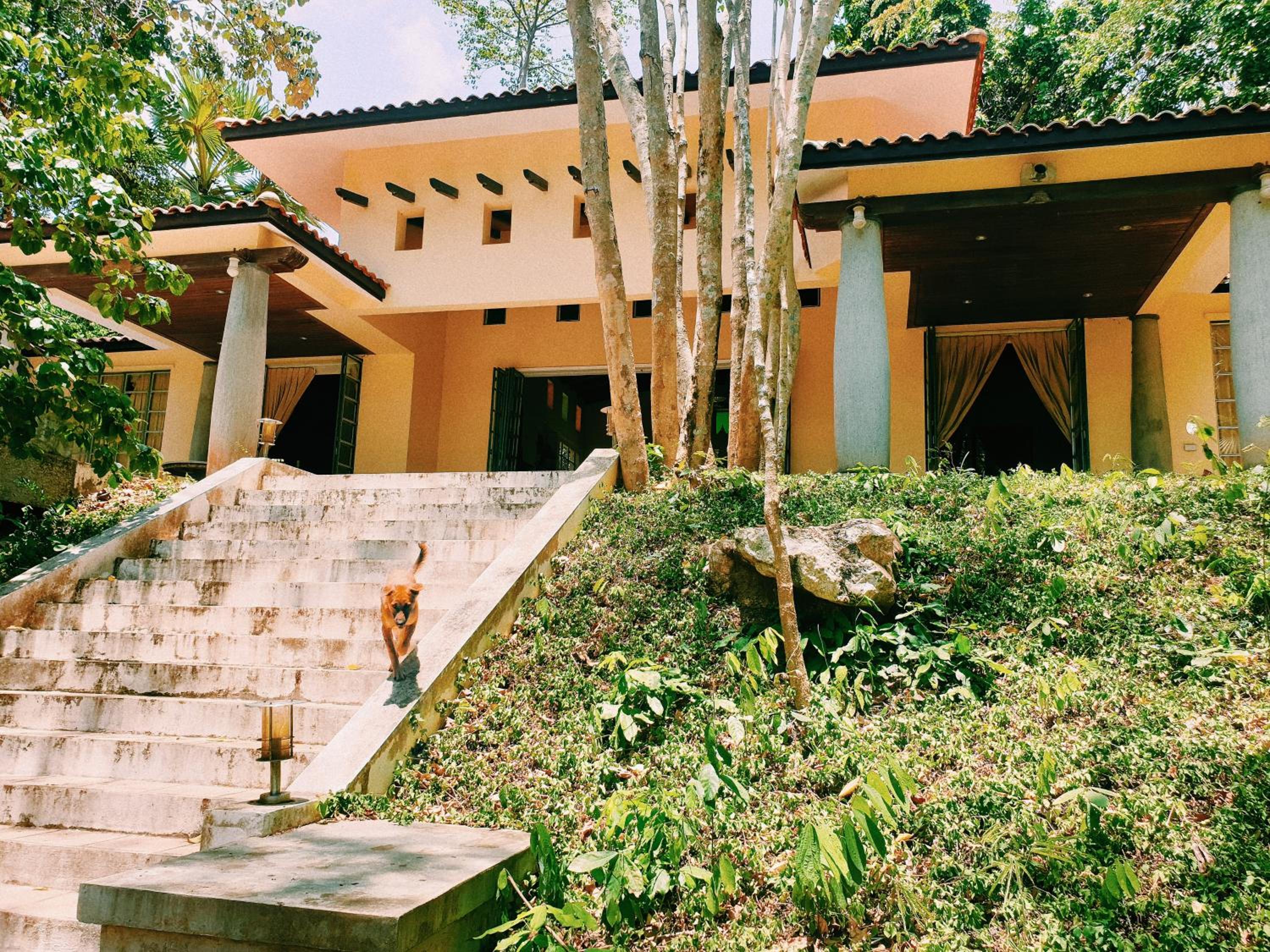 Havana Pool Villa view 2