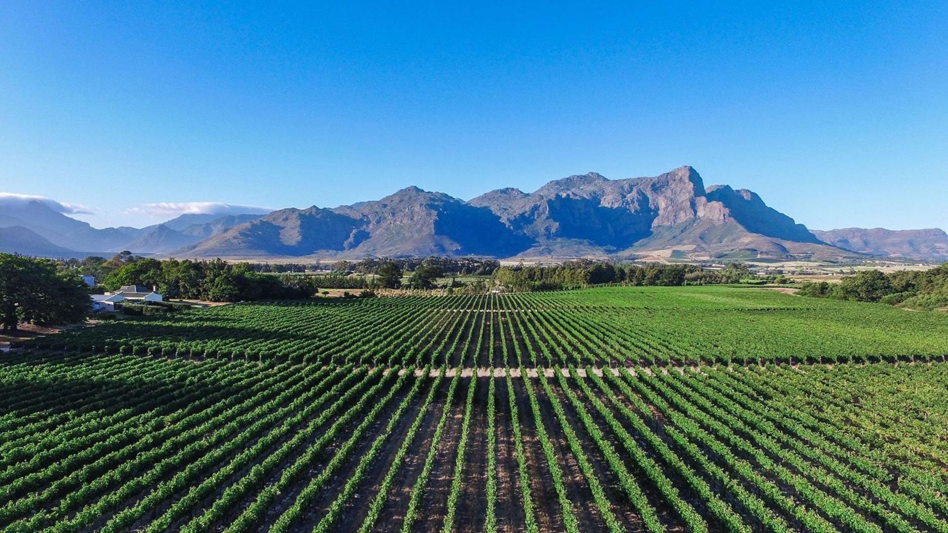 Lynx Wine Estate
