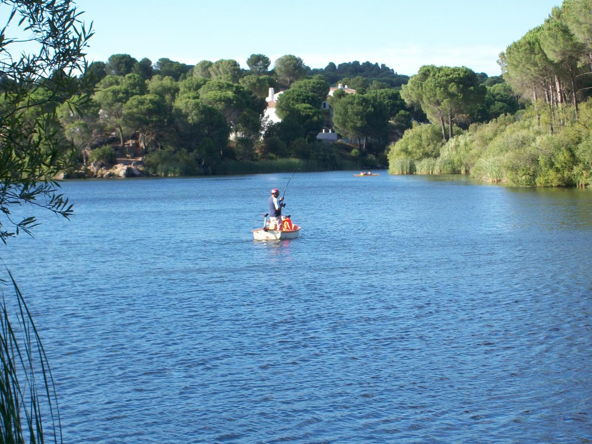 Photo 47