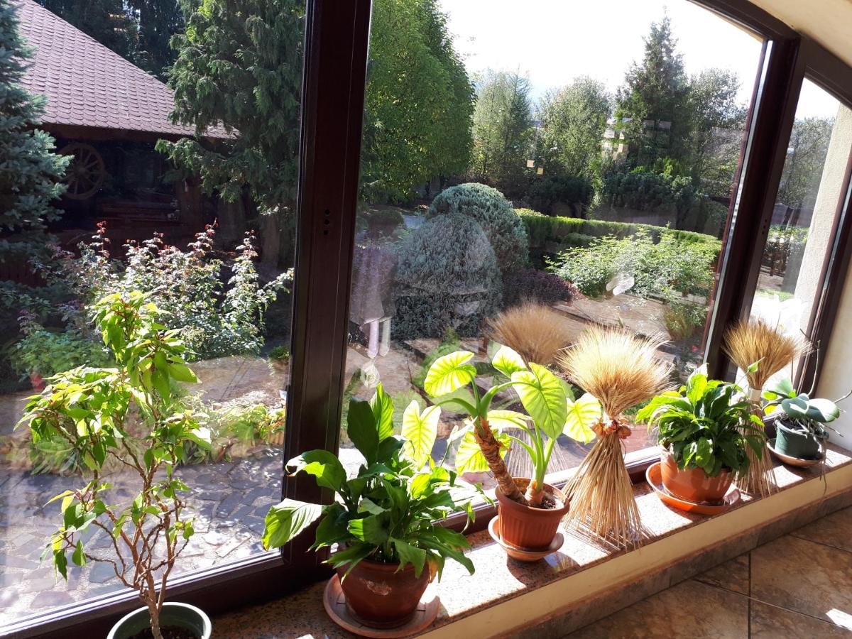 garden