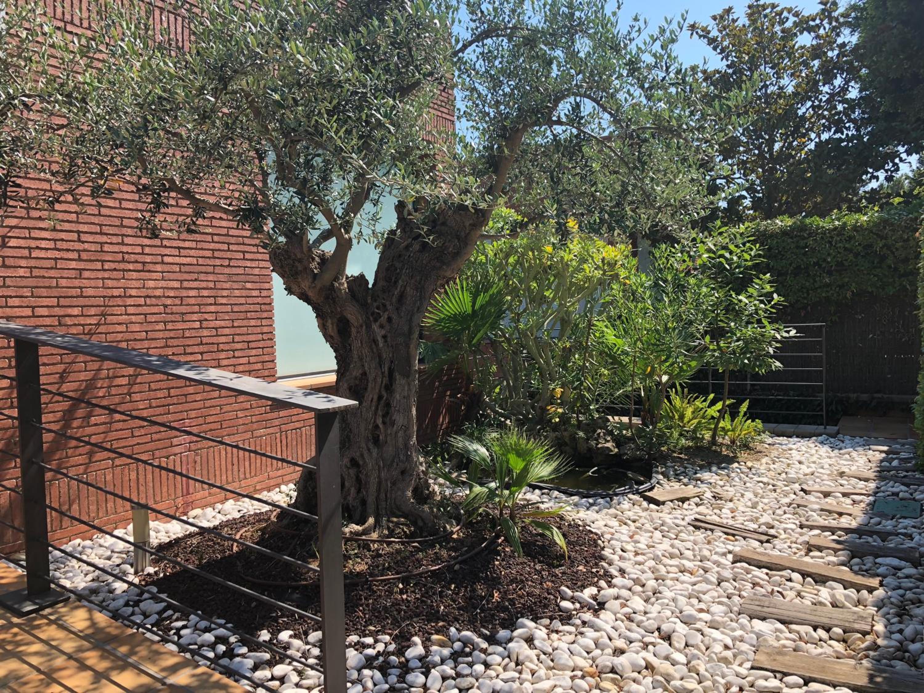Casa Elisabeth