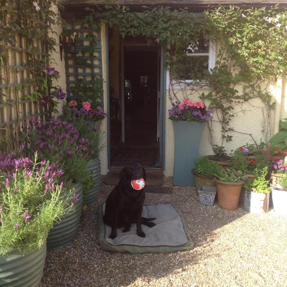 Beautiful Devon Farmhouse view 5
