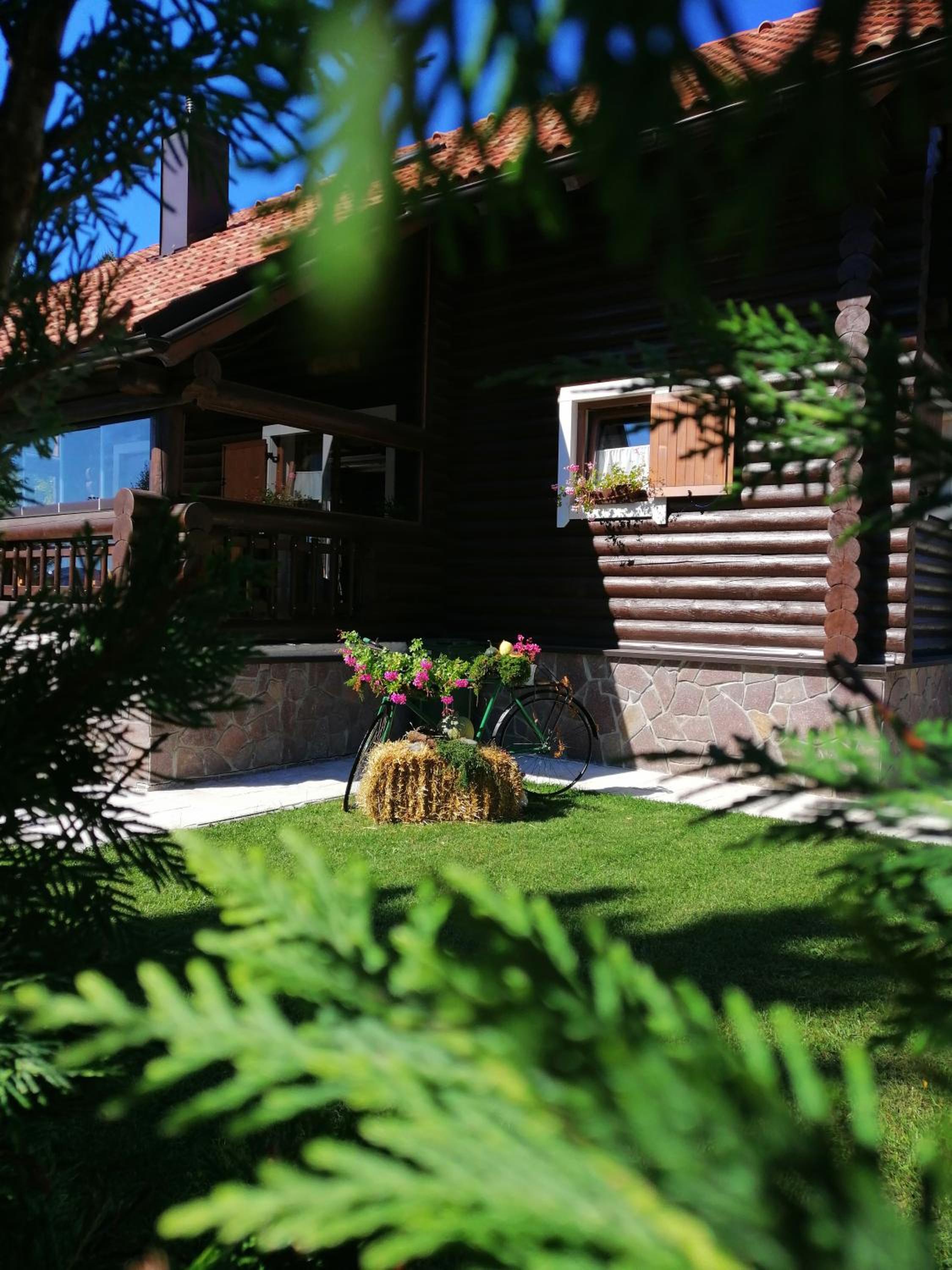 Photo 8