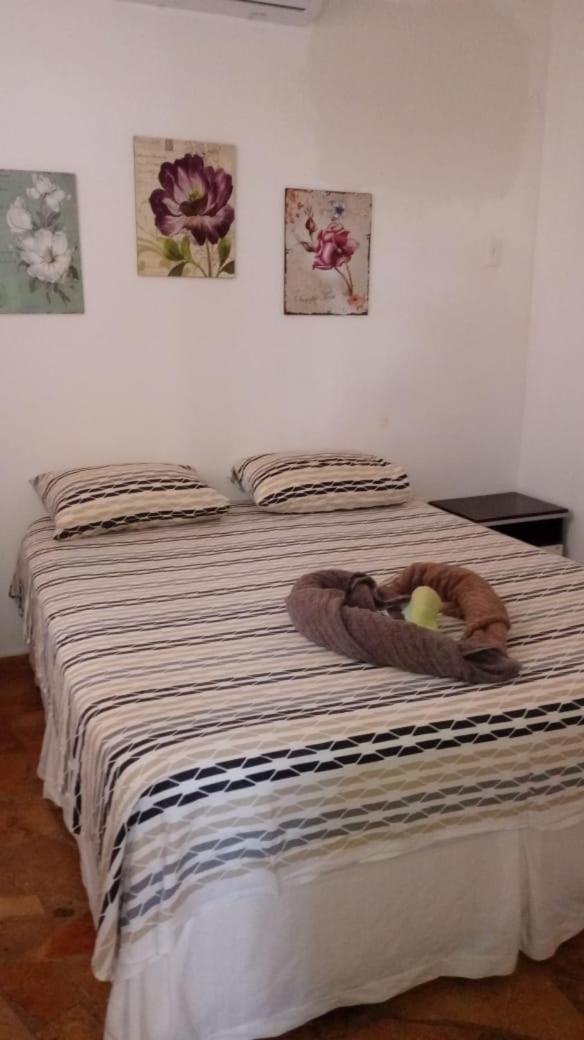 Paraiso de Maracajau 1