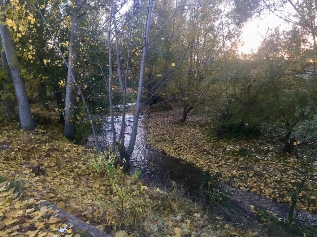 Photo 49