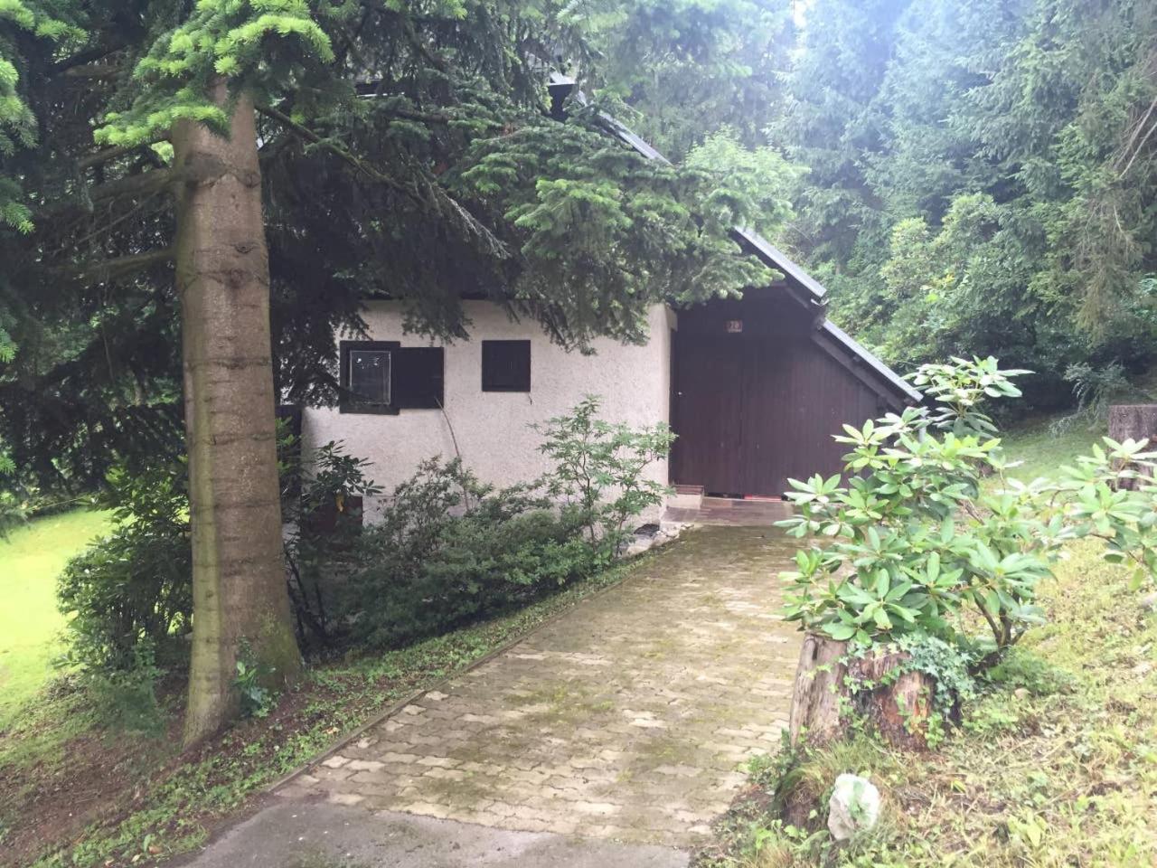 Photo 18