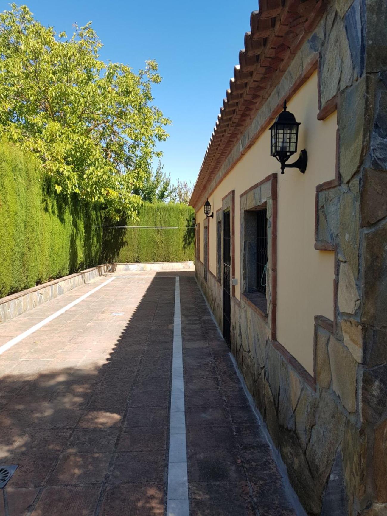 Photo 18
