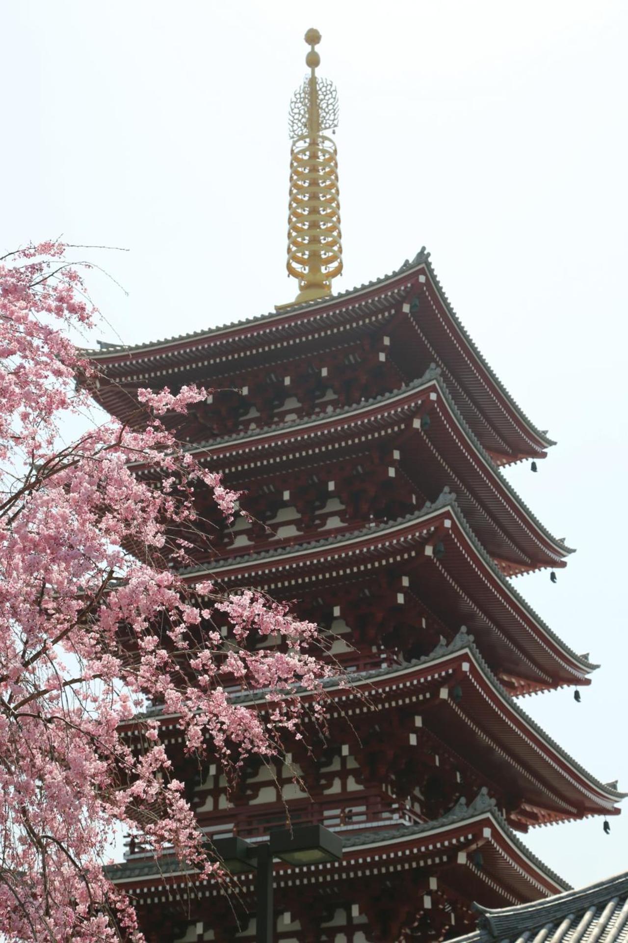 Private Hotel Oshiage