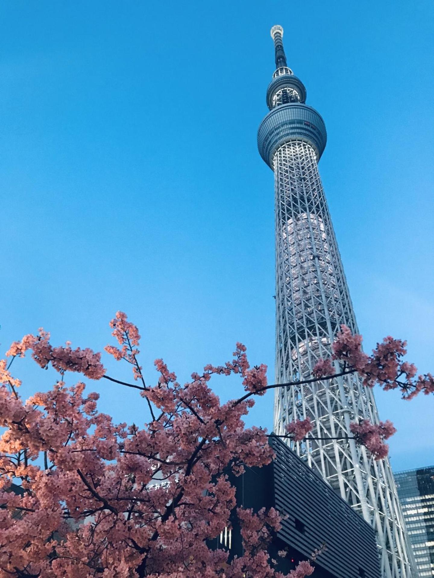 Private Hotel Oshiage