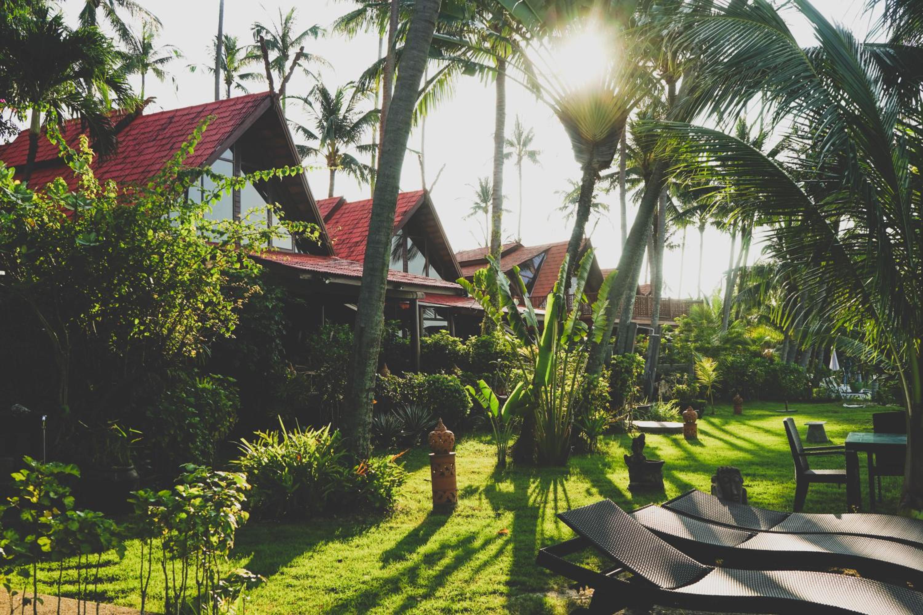 The Natives Samui