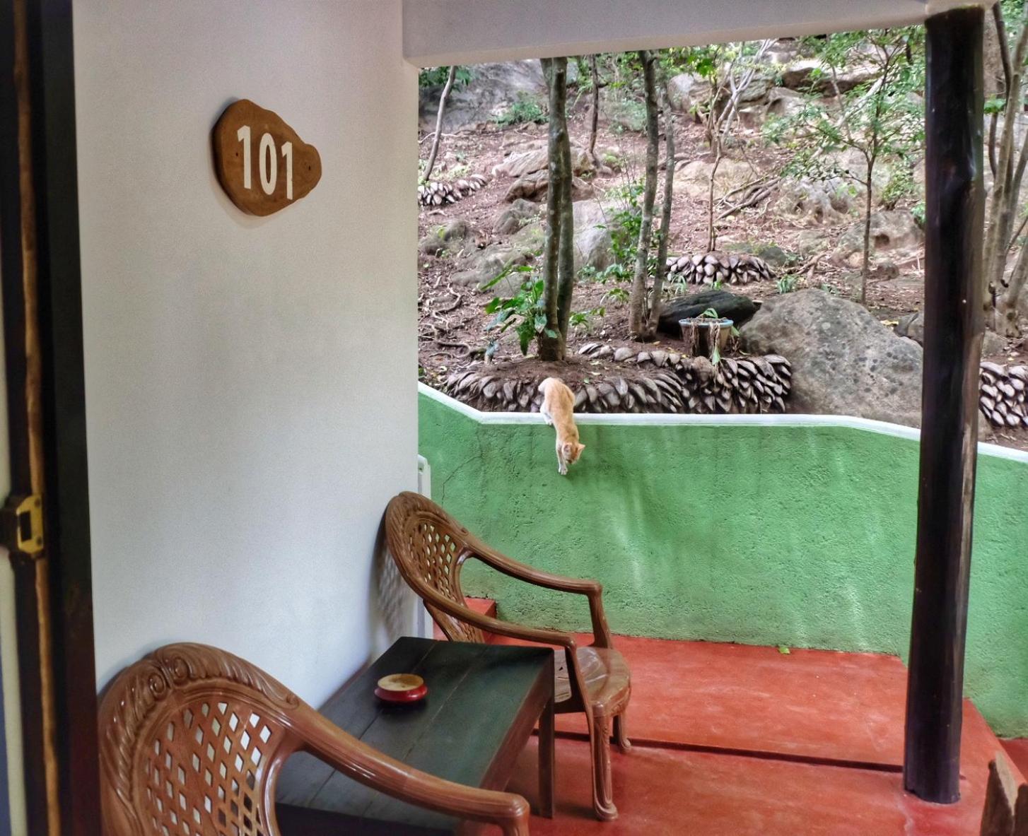 Golden Rainbow Guest House, photo 17