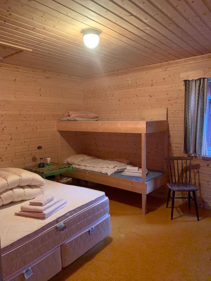 Northern Light Cabin Lofoten