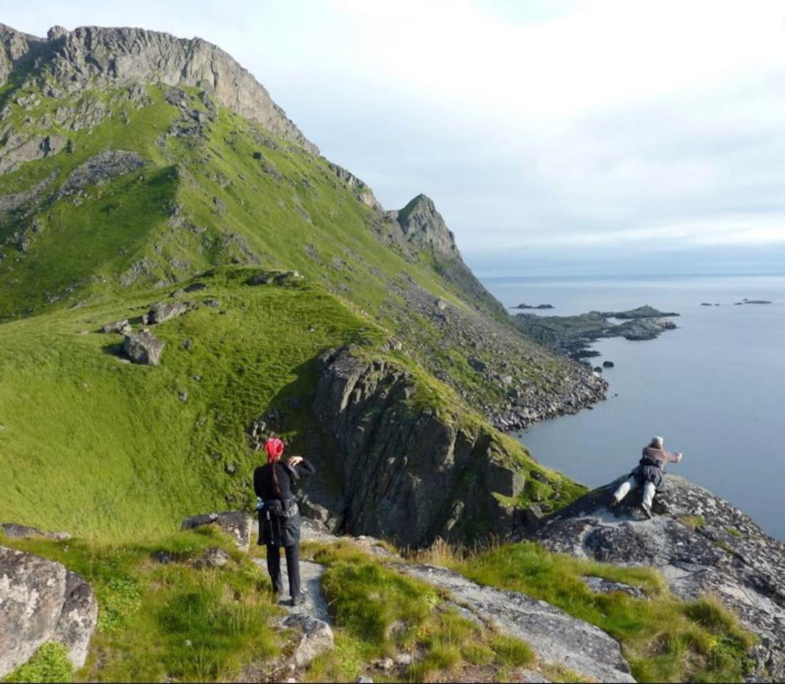 Northern Light Cabin Lofoten