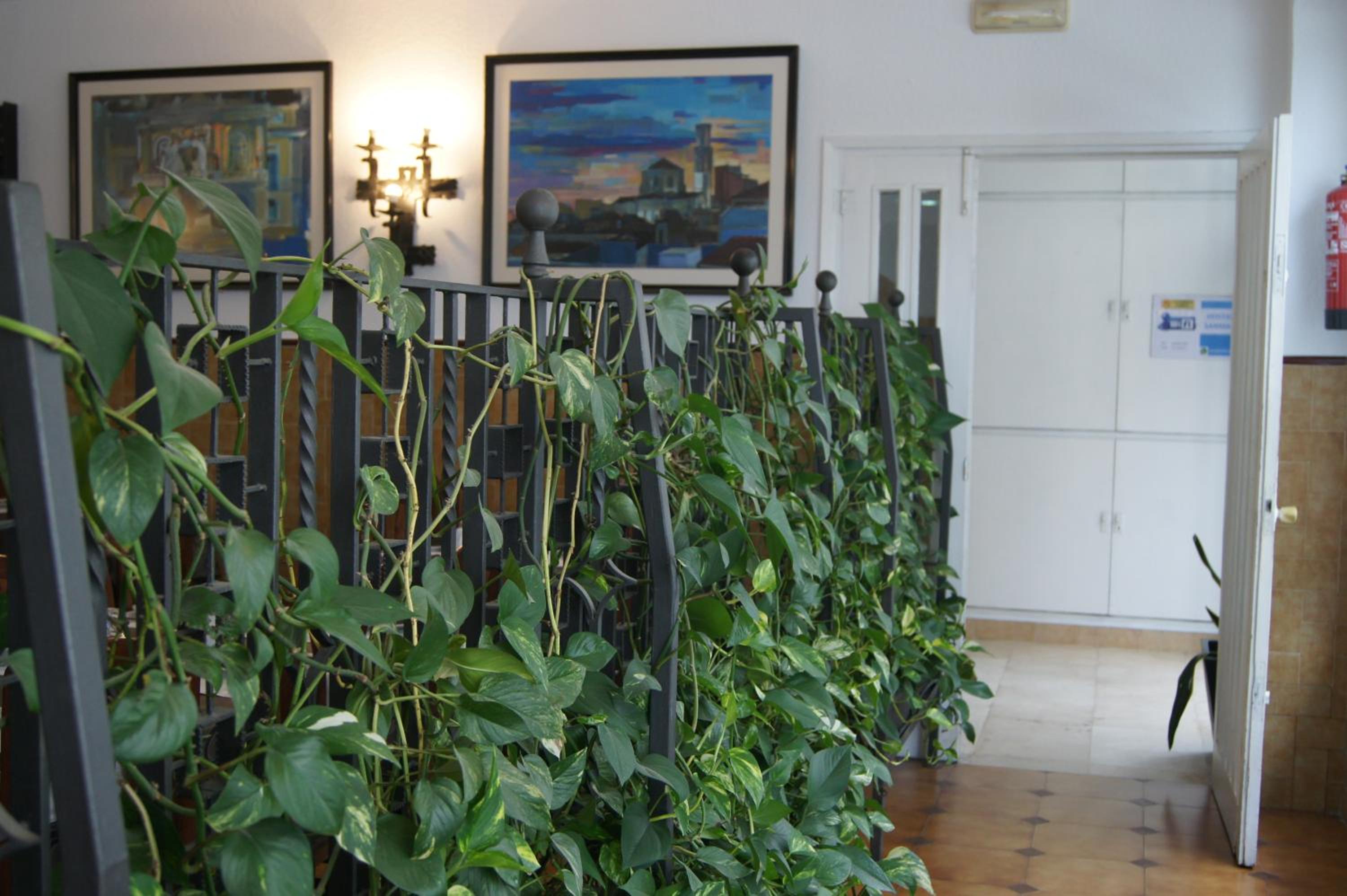 Hostal Sanmar