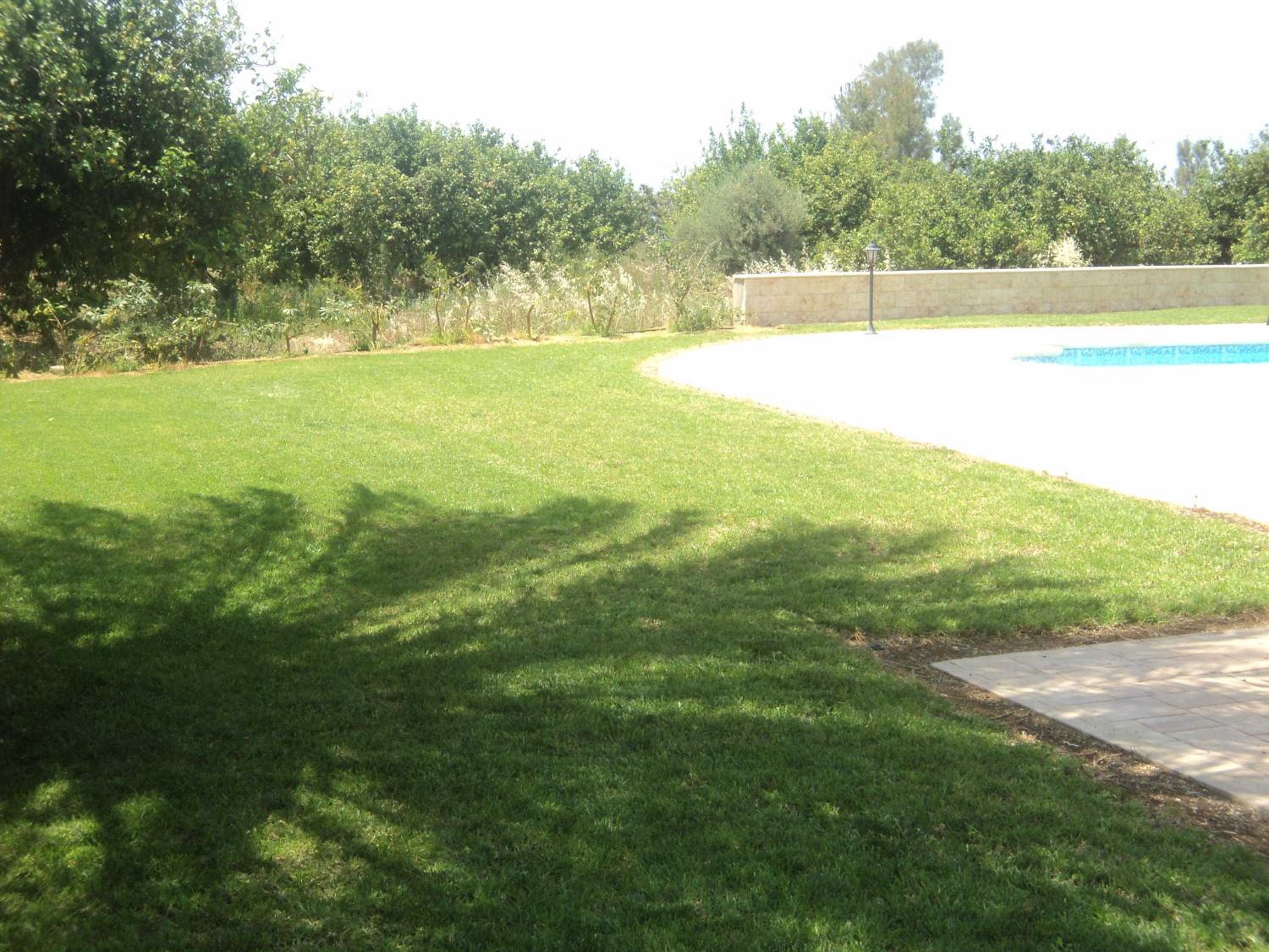 Photo 30