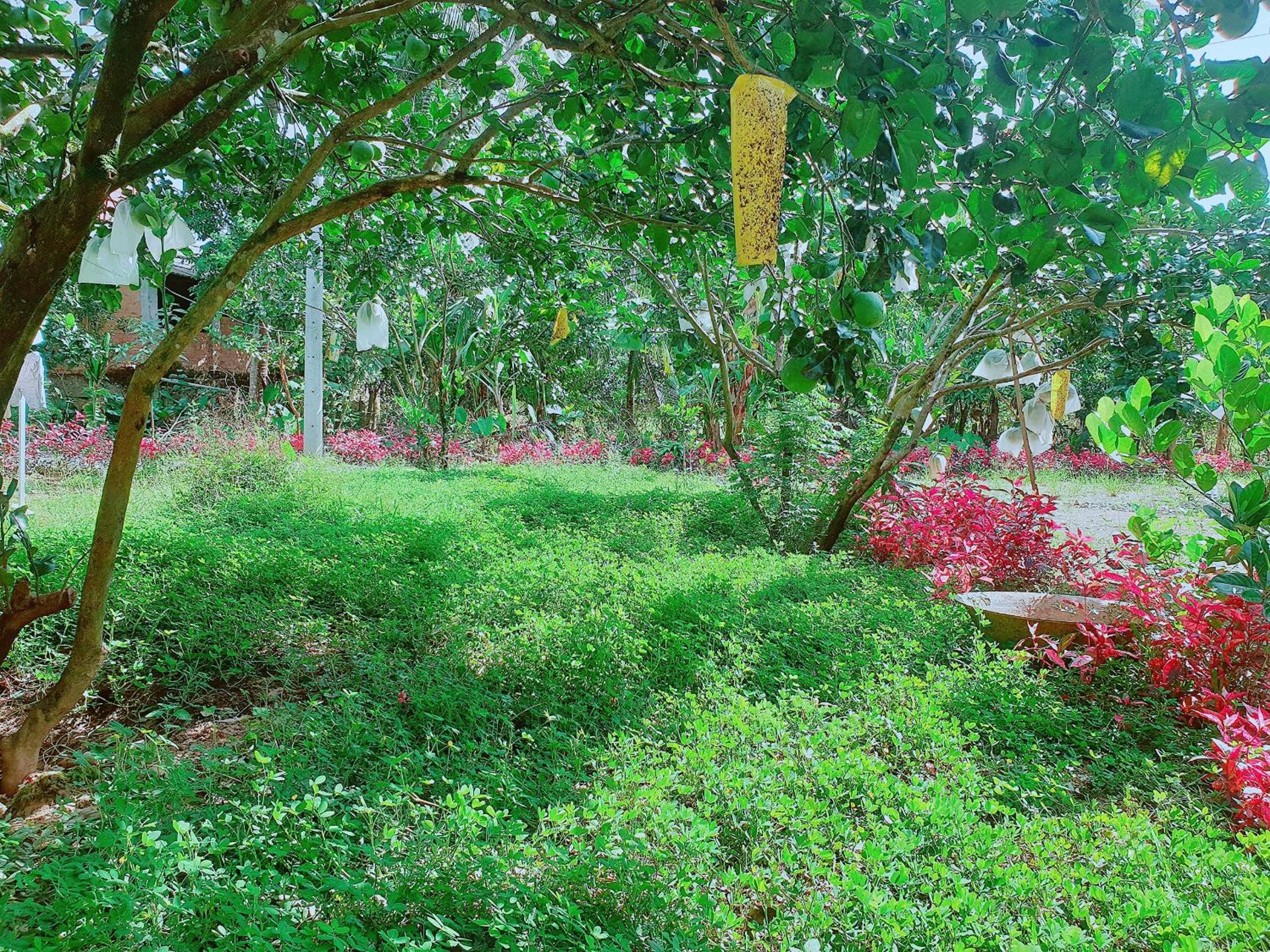 Photo 41