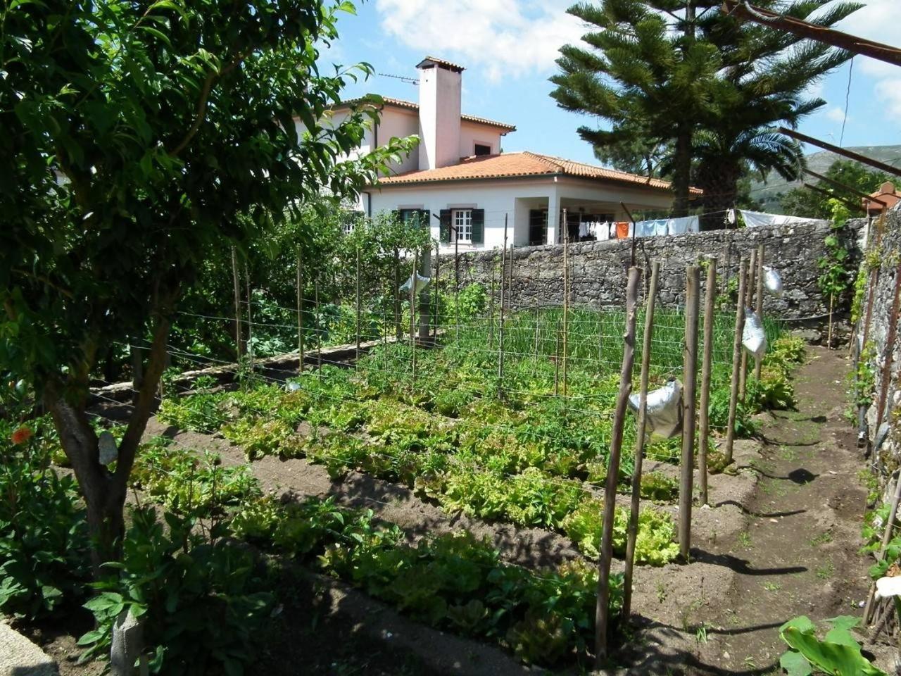 Casa Rosinha Menor view 3