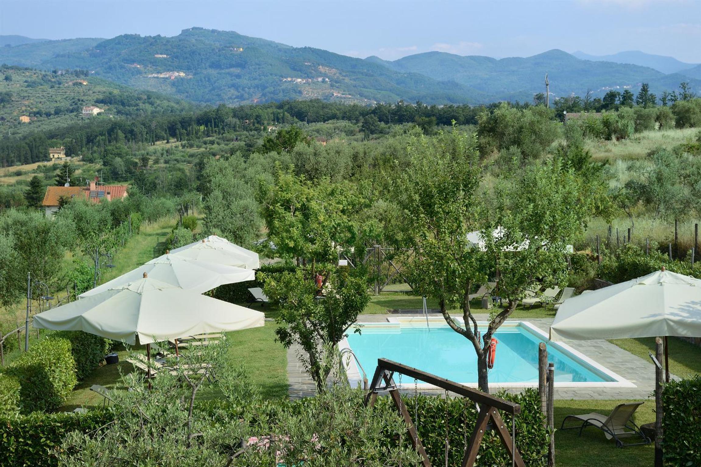 Amedea Tuscany Country Experience