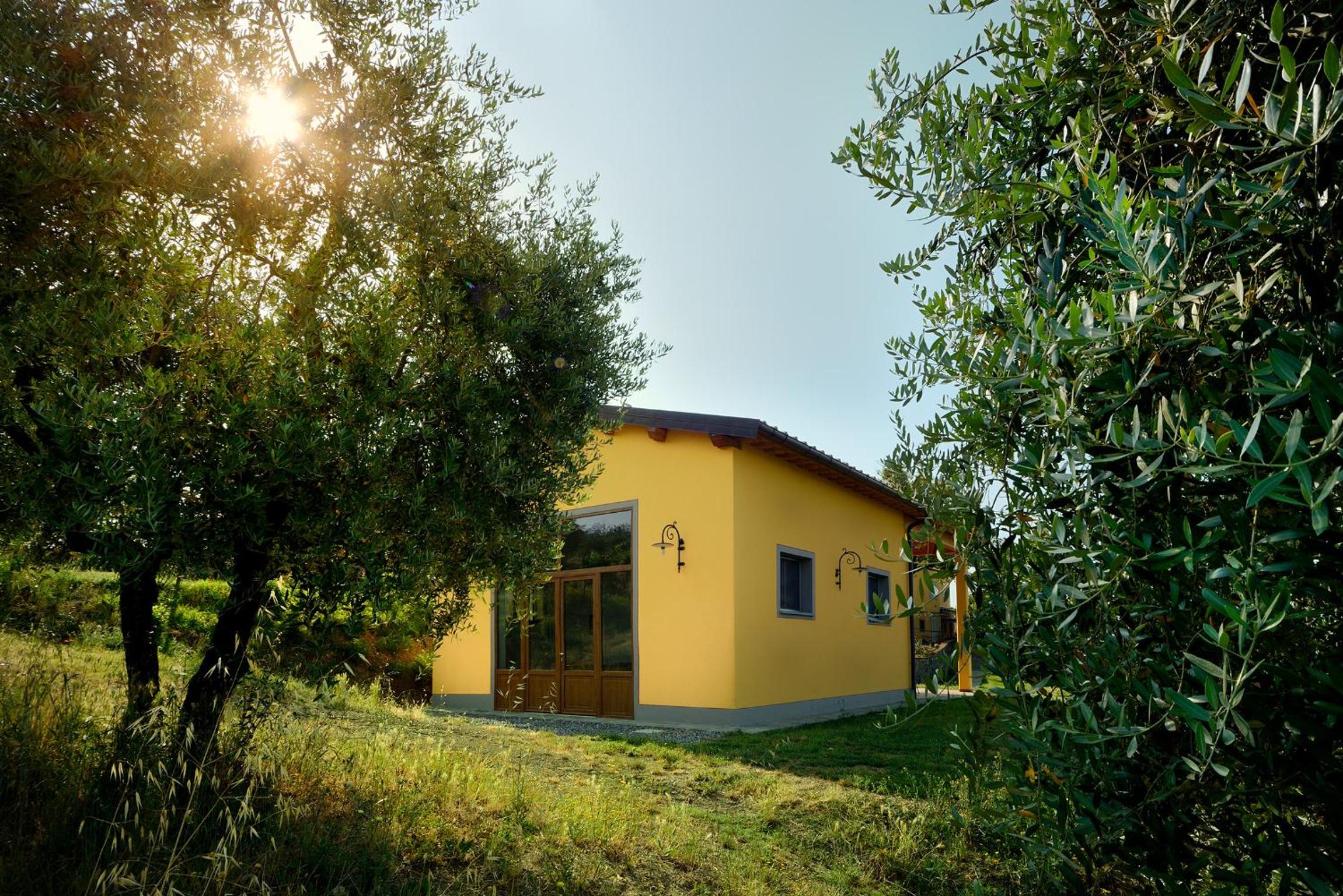 Amedea Tuscany Country Experience