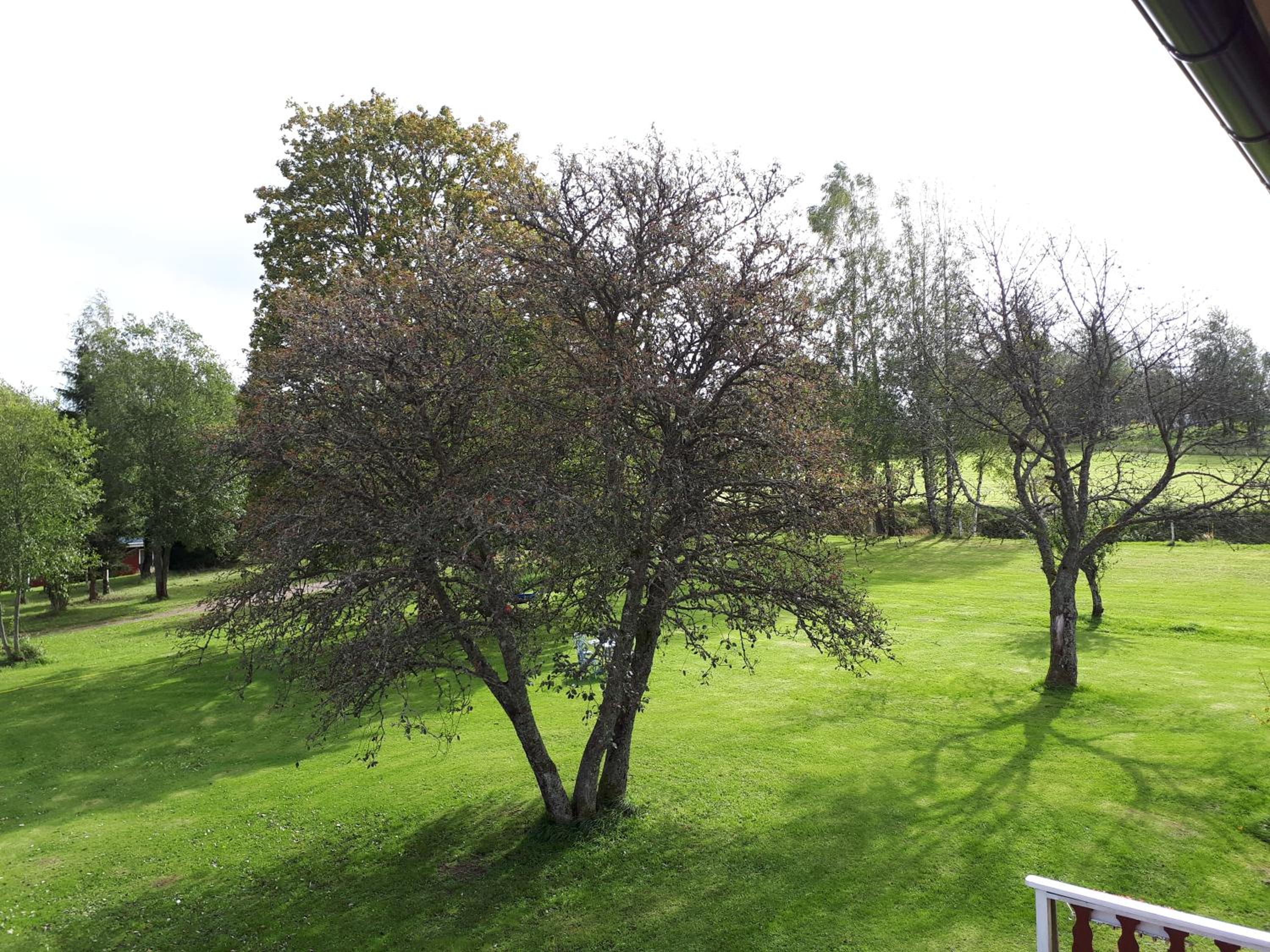 Photo 33
