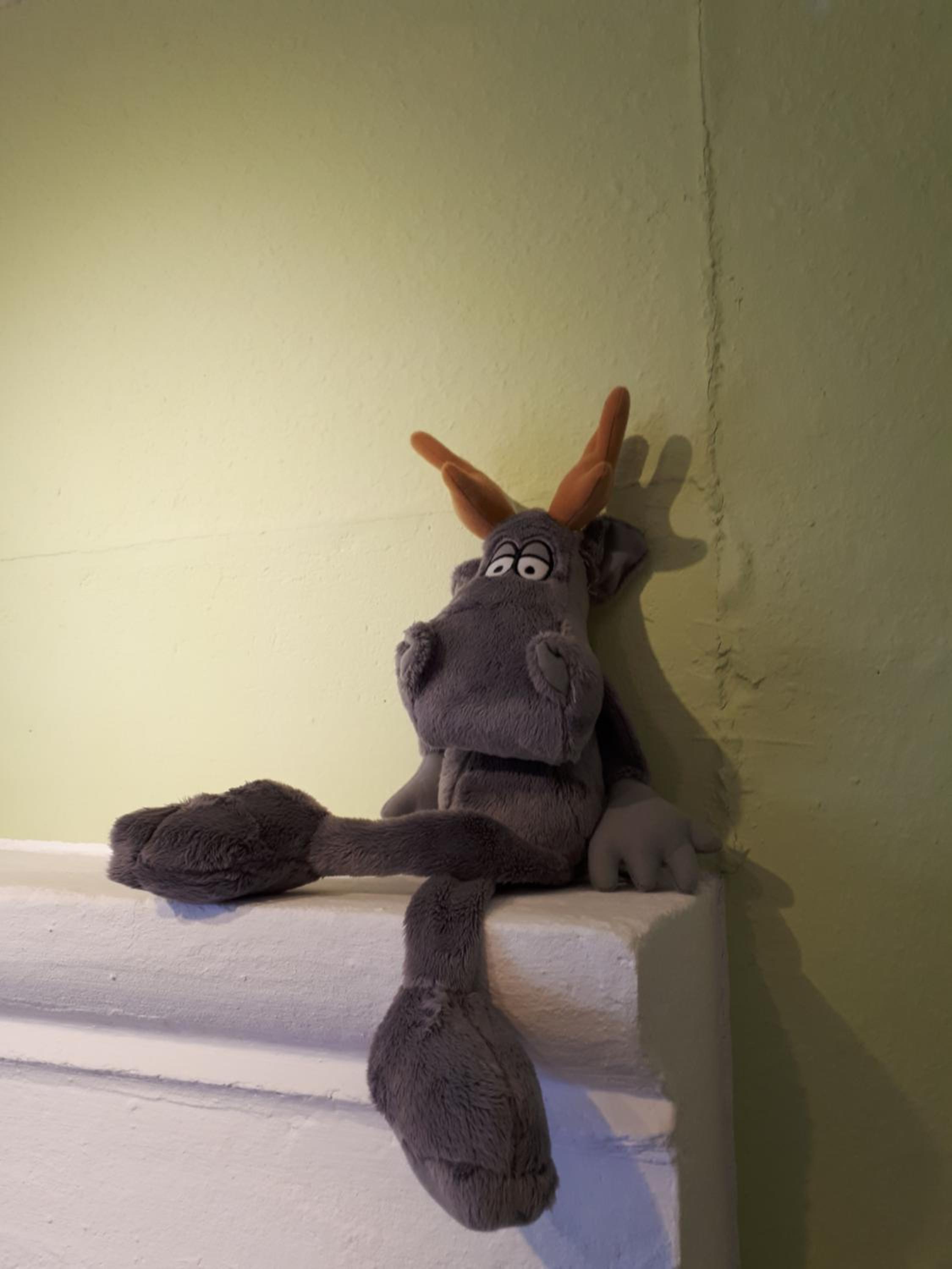 Photo 27