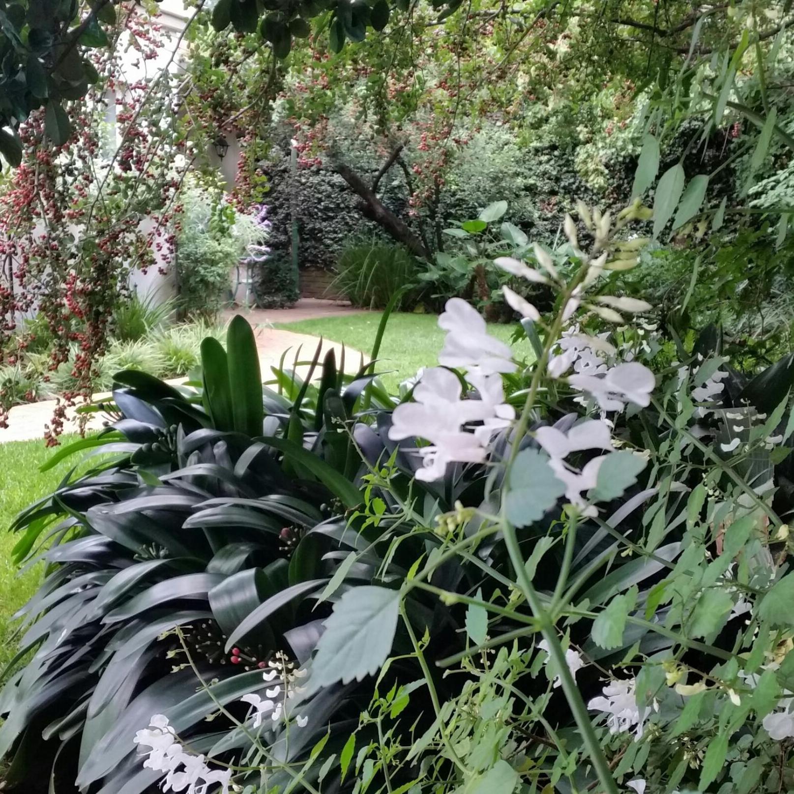 Rosebank Lodge Guesthouse by Claires
