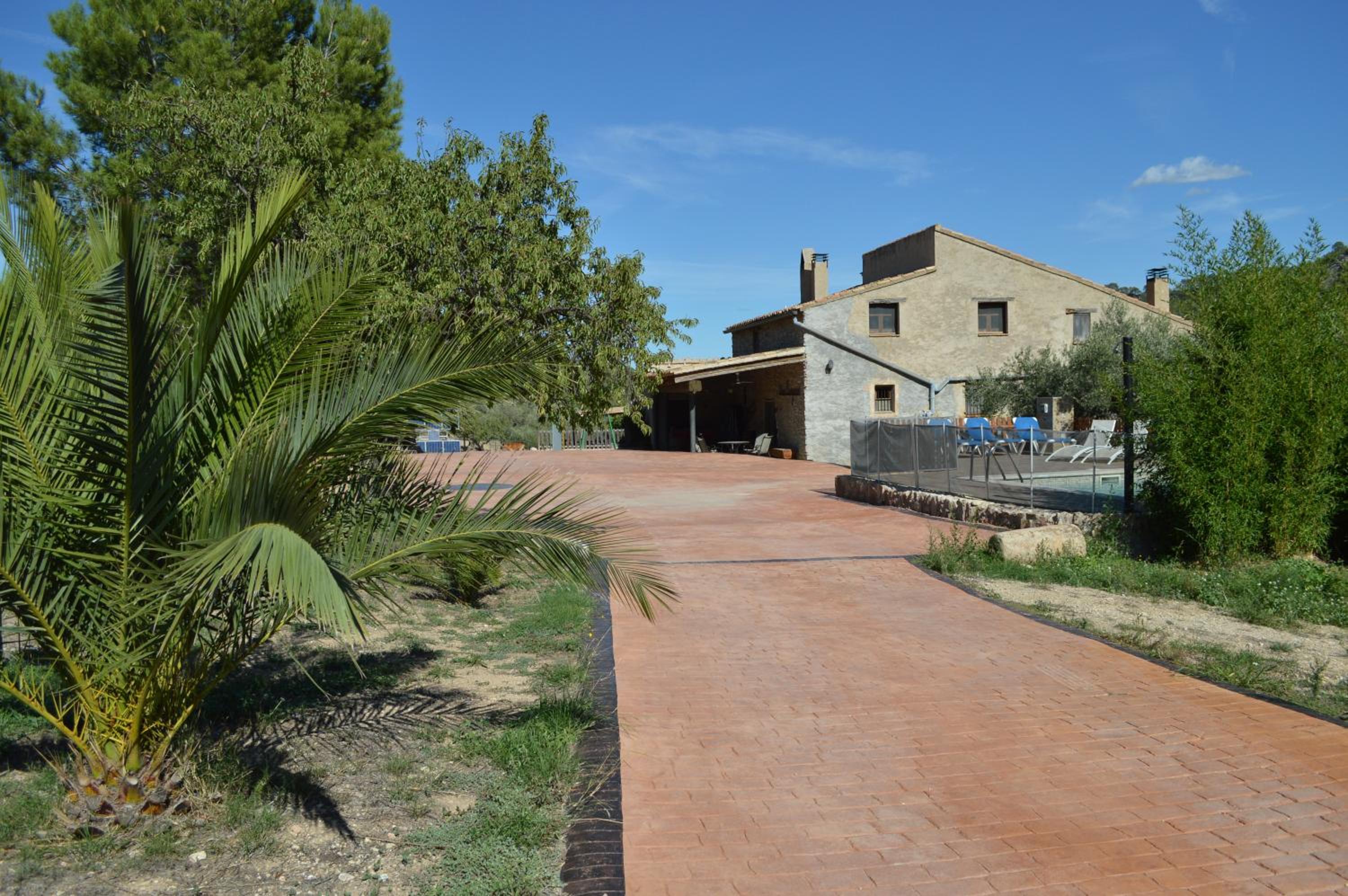 Photo 8