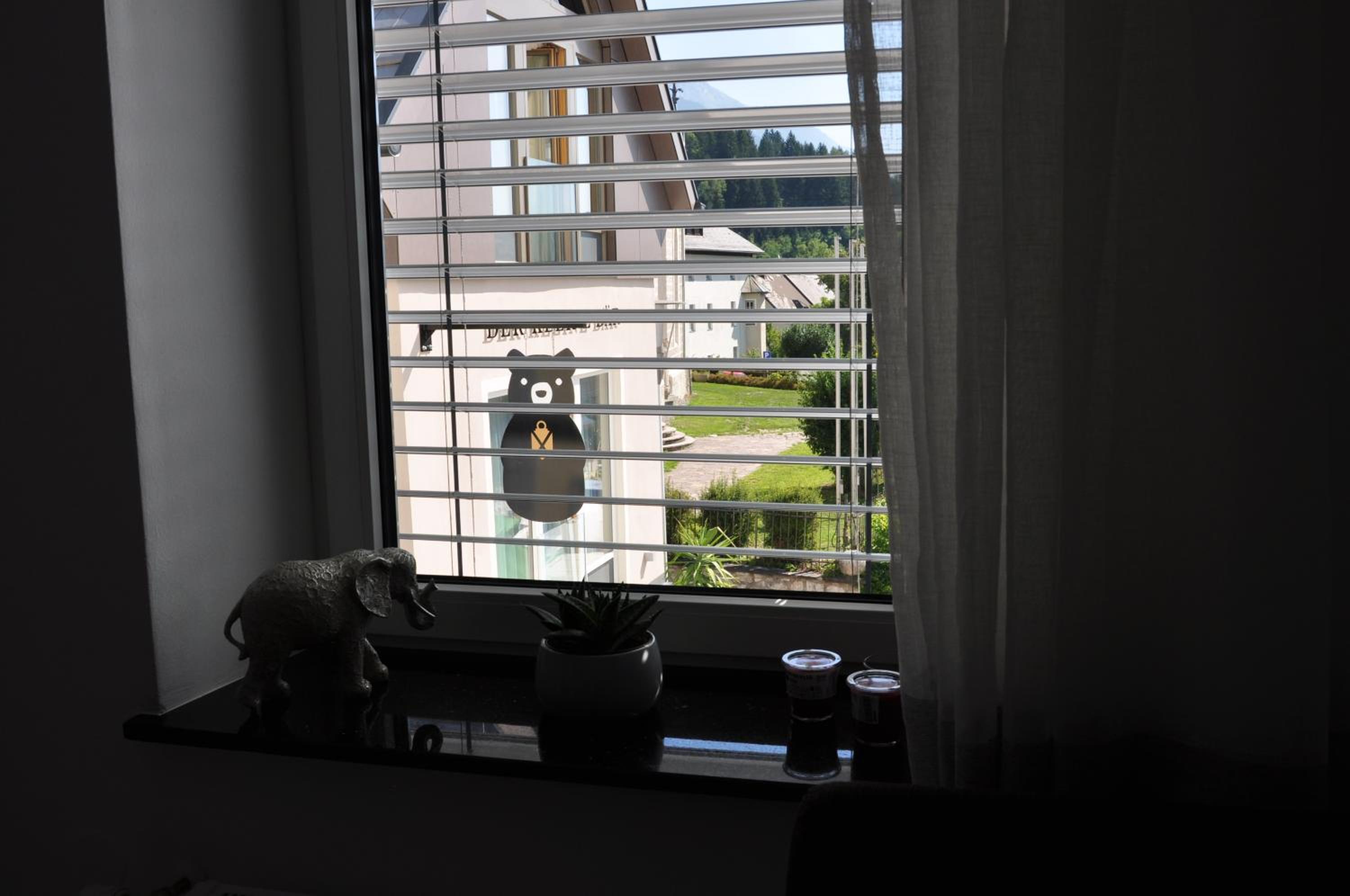 Apartman Benjo view 4