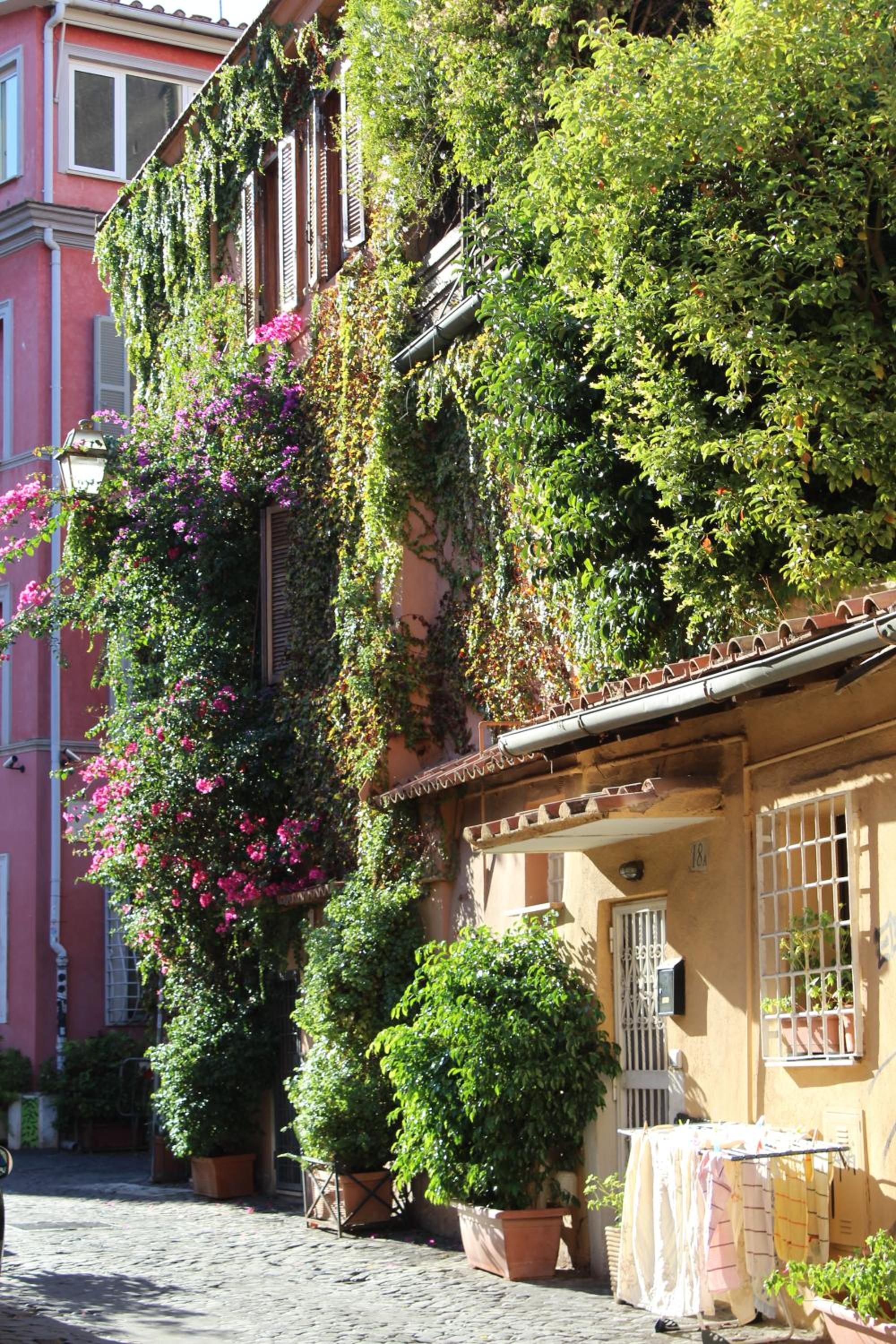 Moro 50 - Loft in Trastevere
