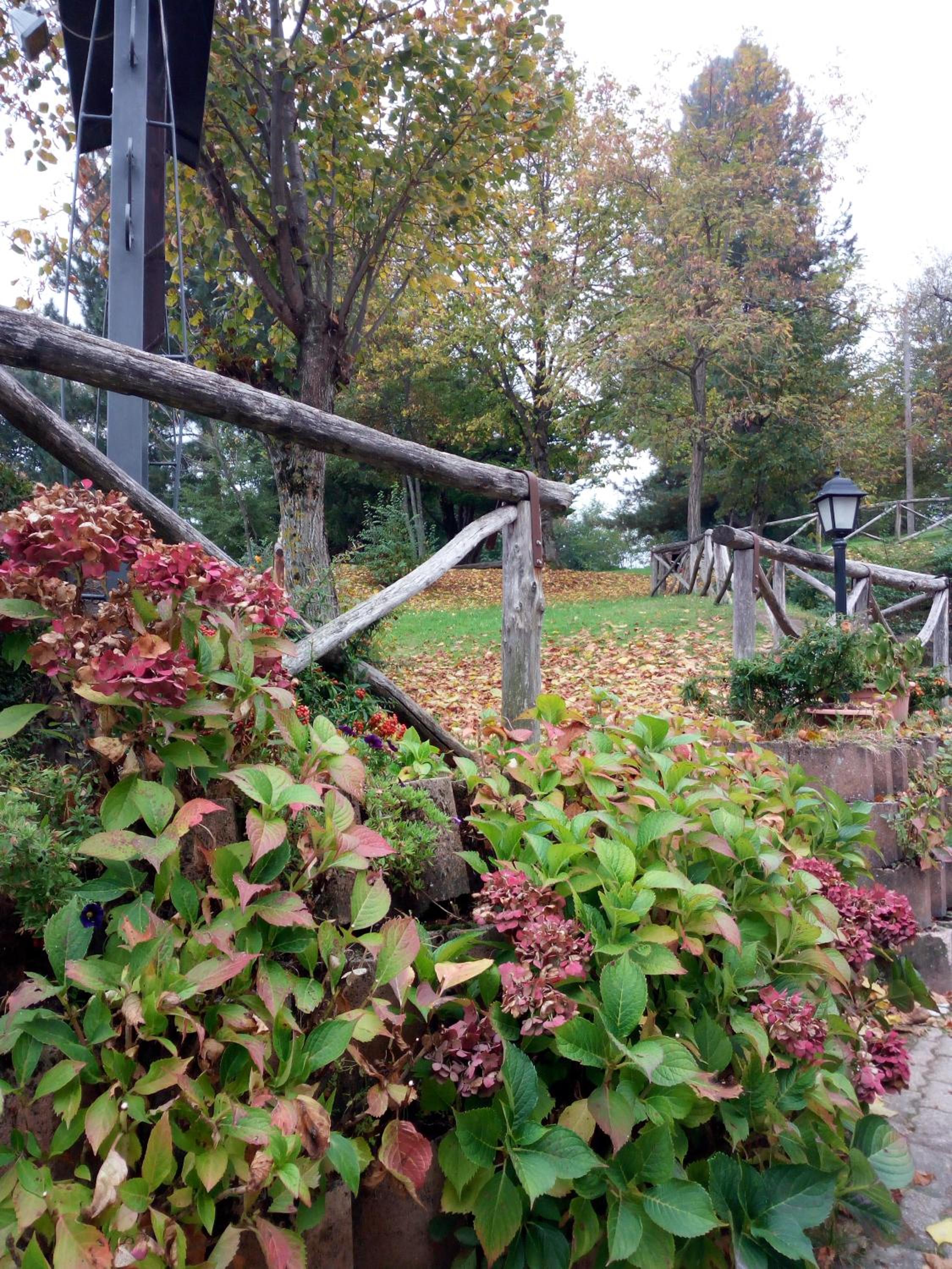 Il Castagno - Property Image 29