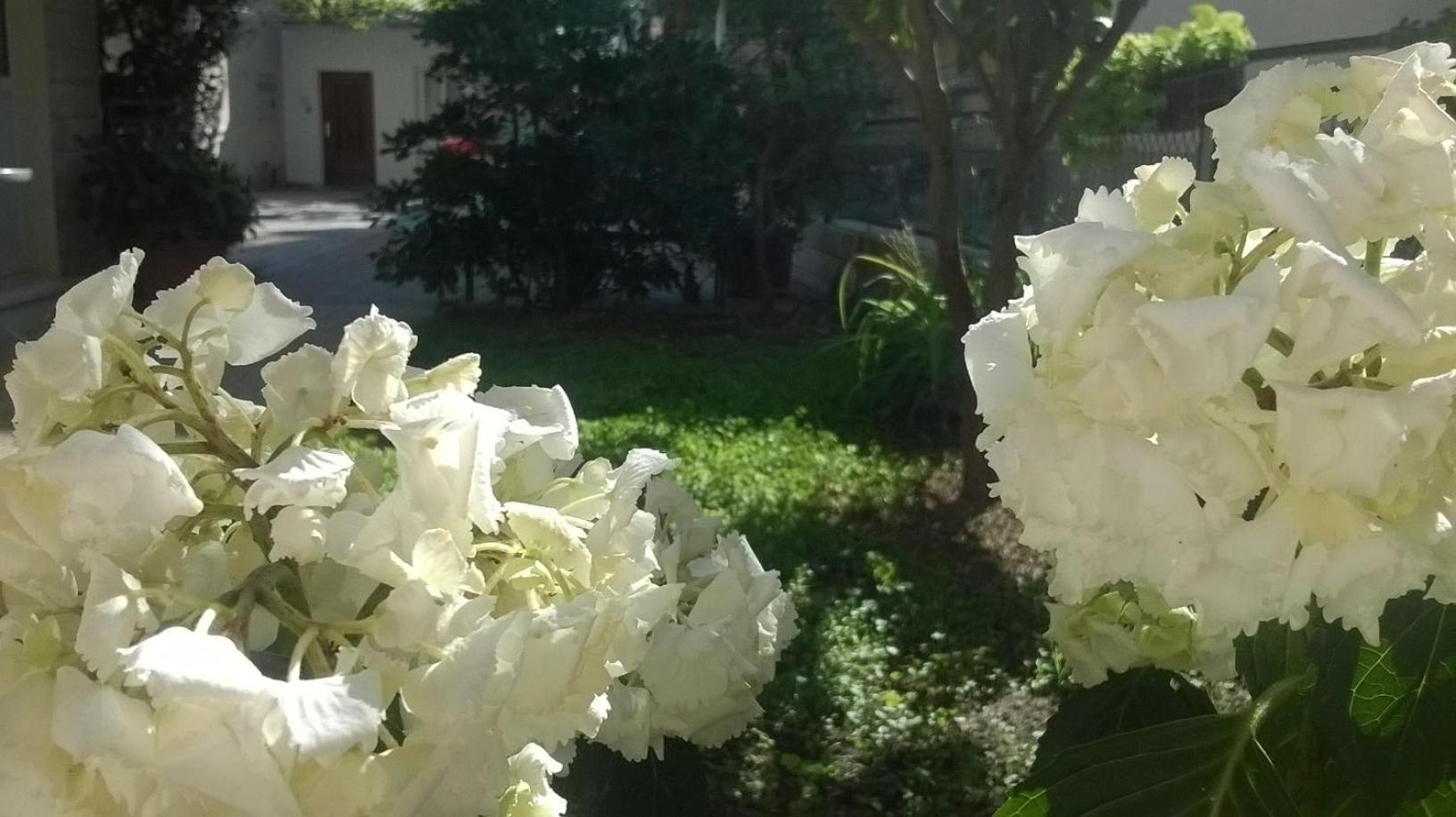 Apartman Renata view 2
