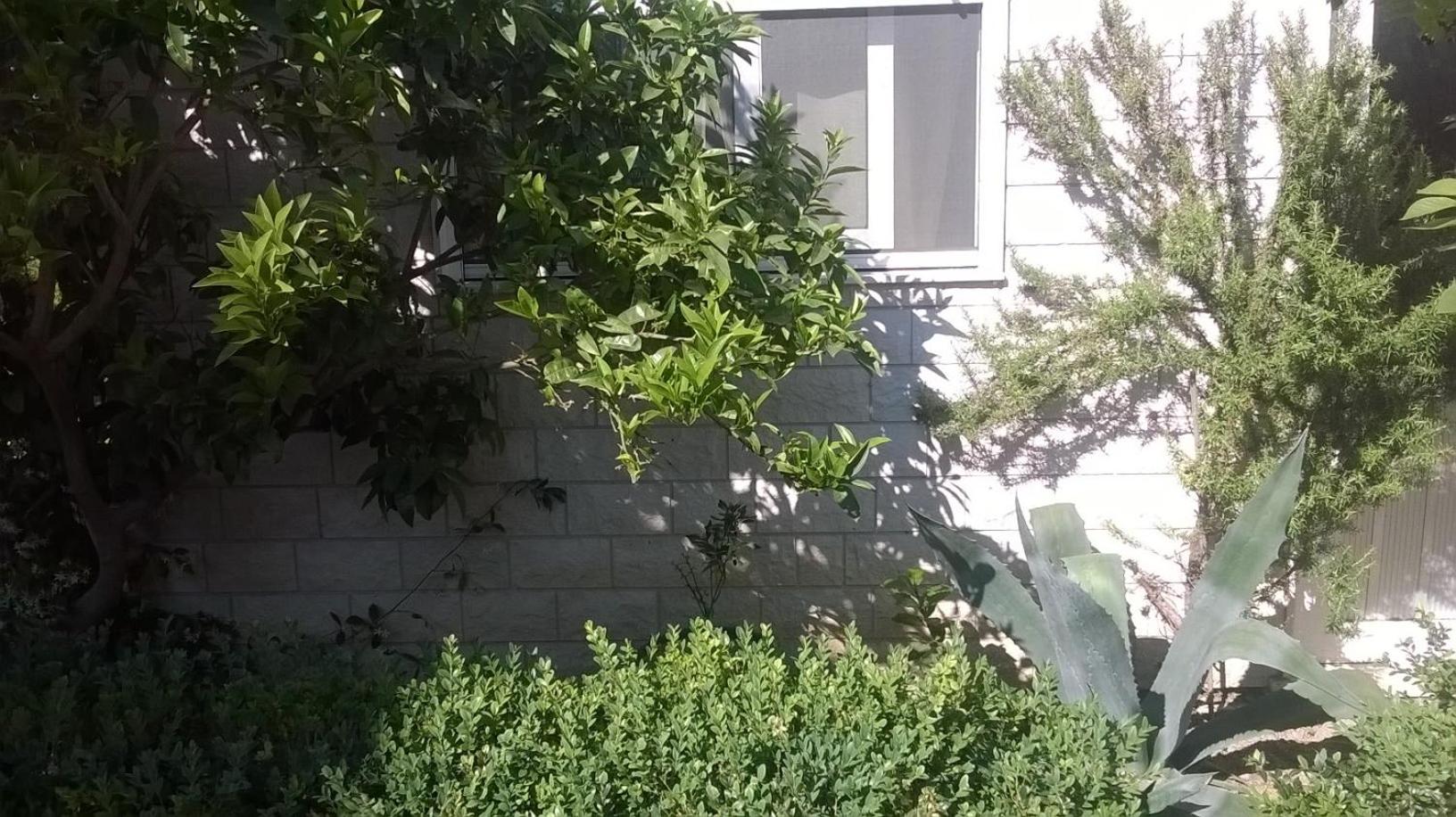 Photo 36