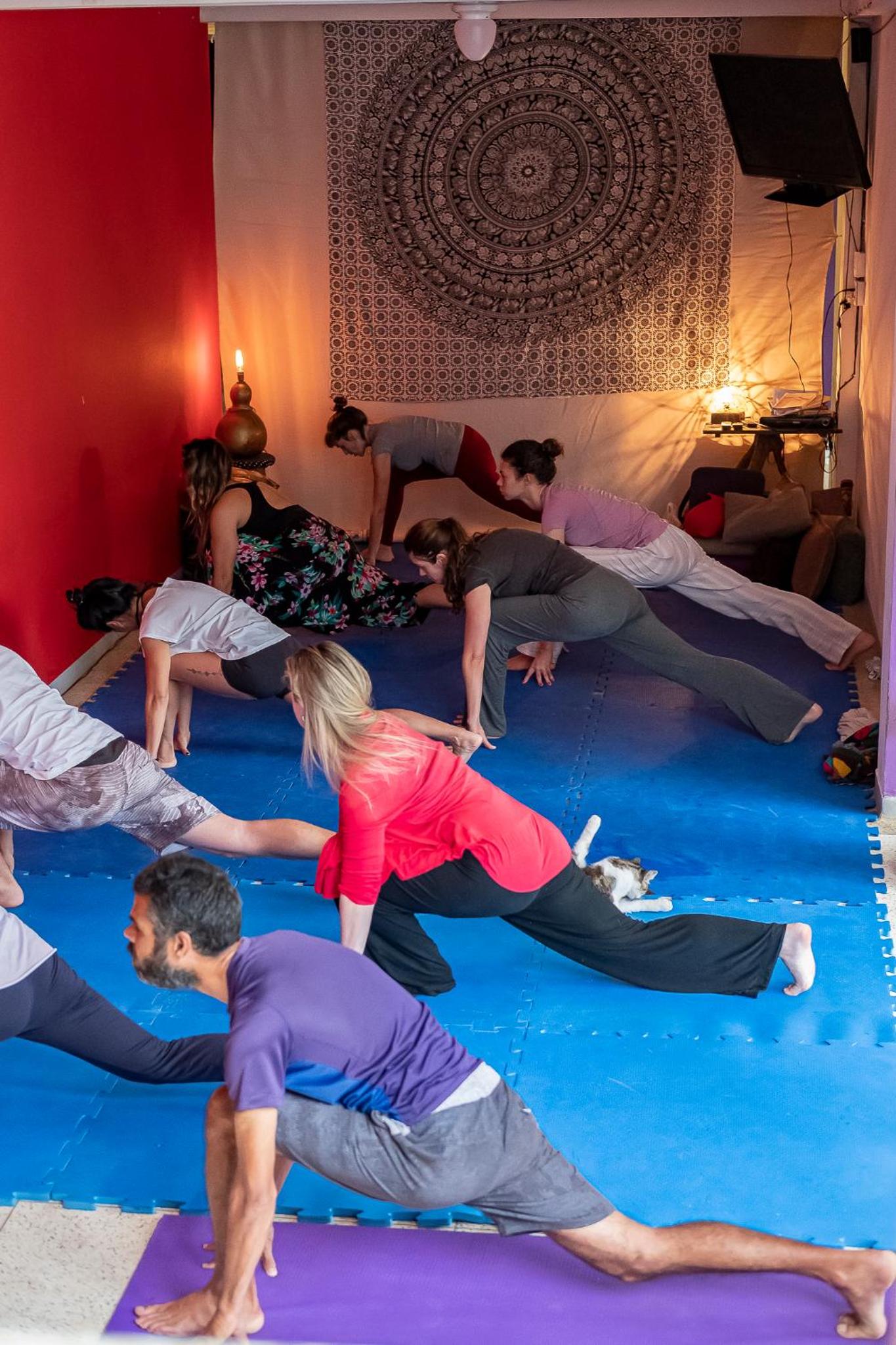 Casa Bacarirá - Floresta com Yoga e Café da Manhã Vegano