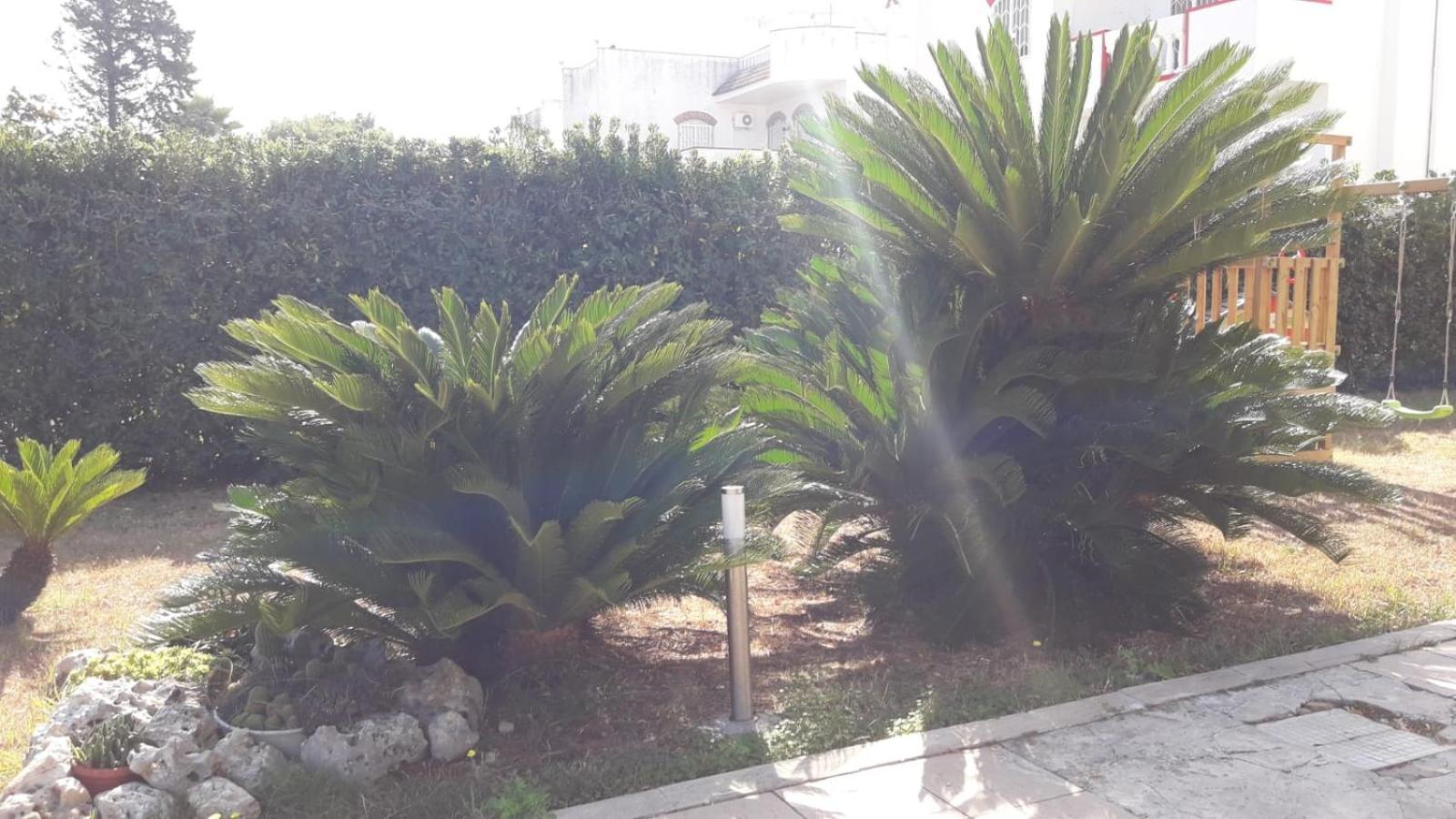 Villa Del Mar en Bari — other