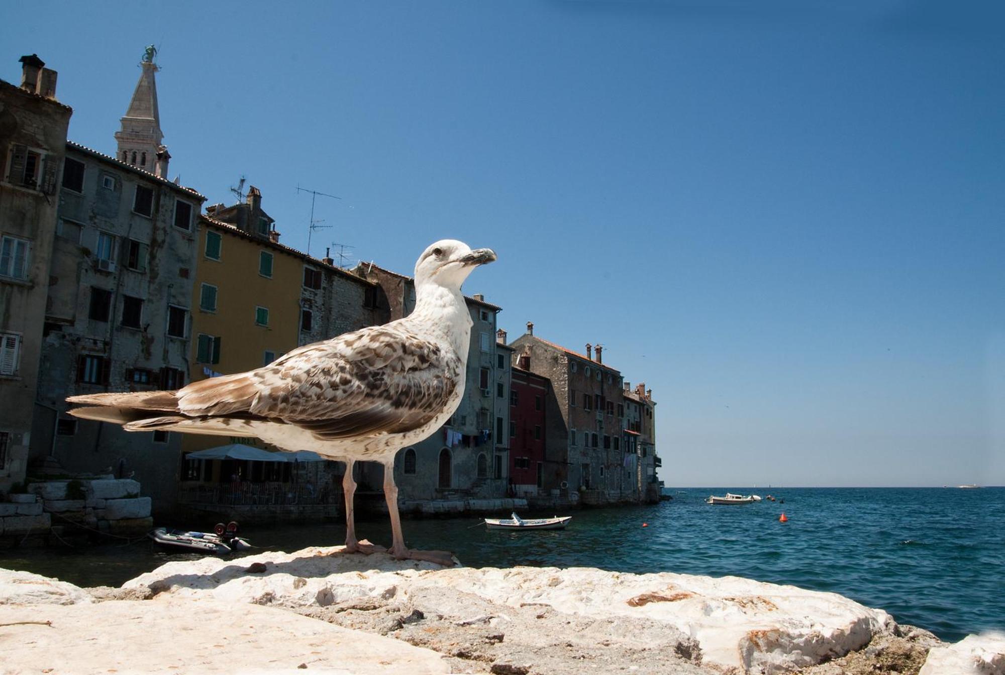 Photo 40