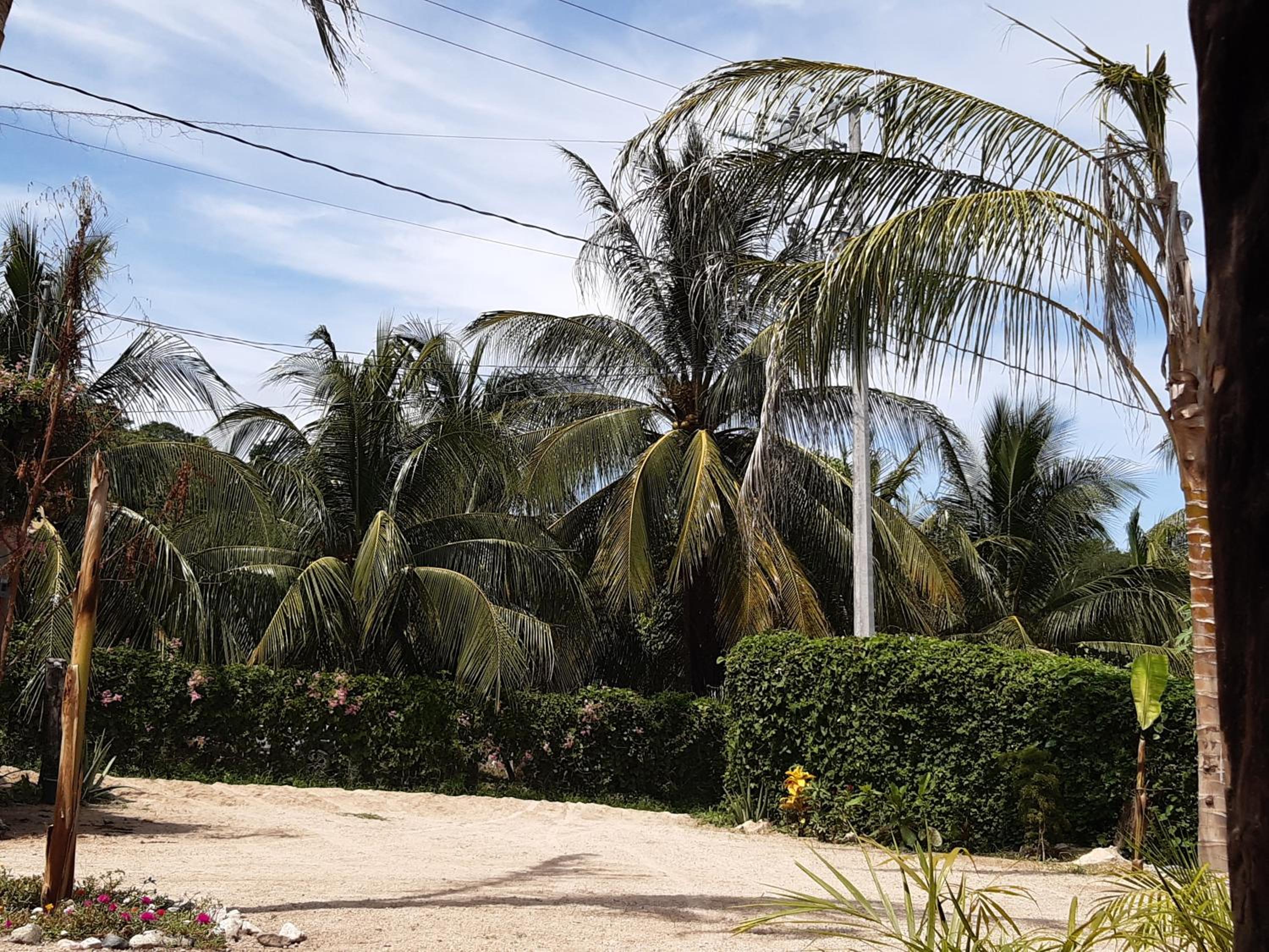 Cabañas jaysur