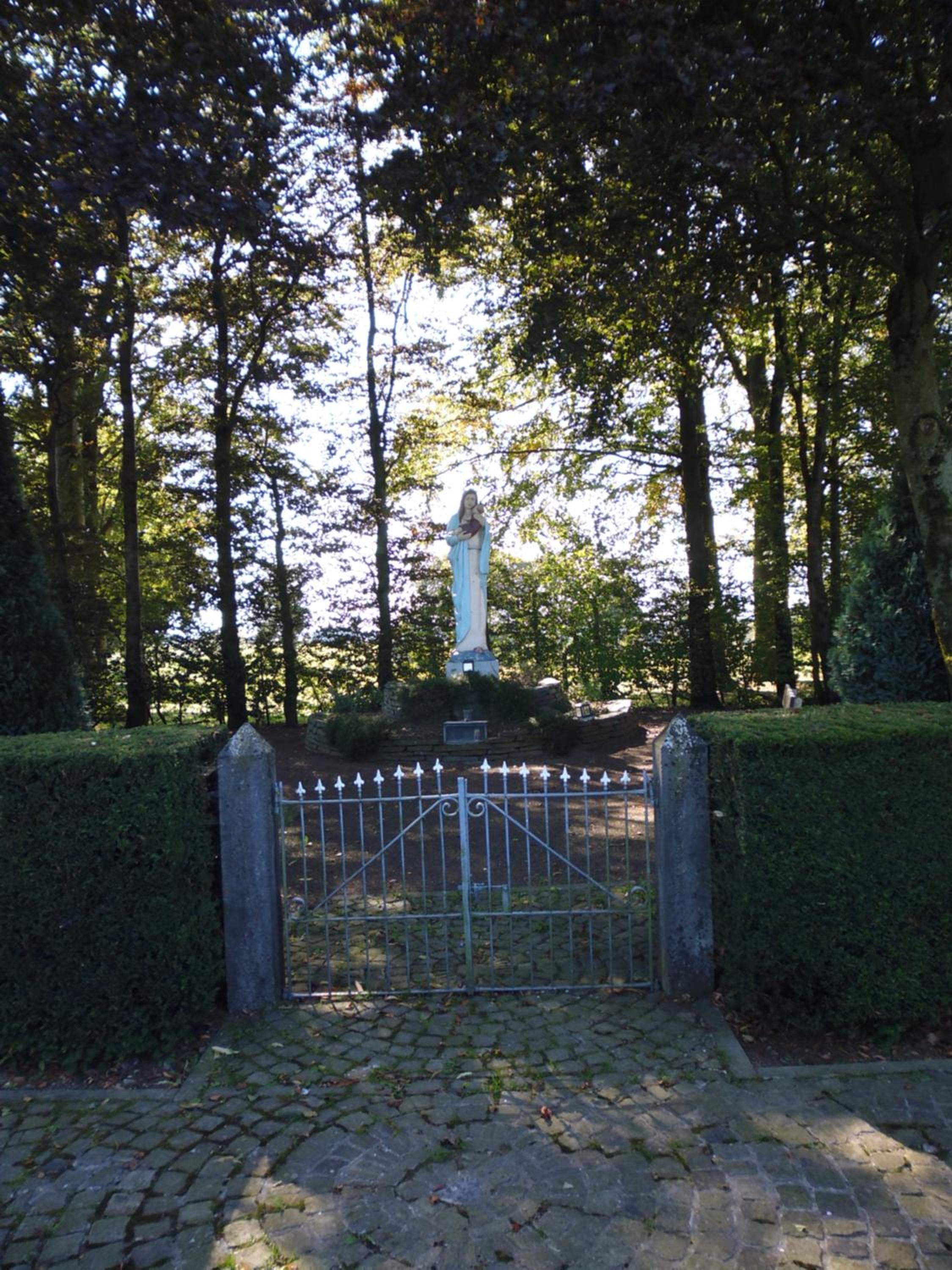 Photo 49
