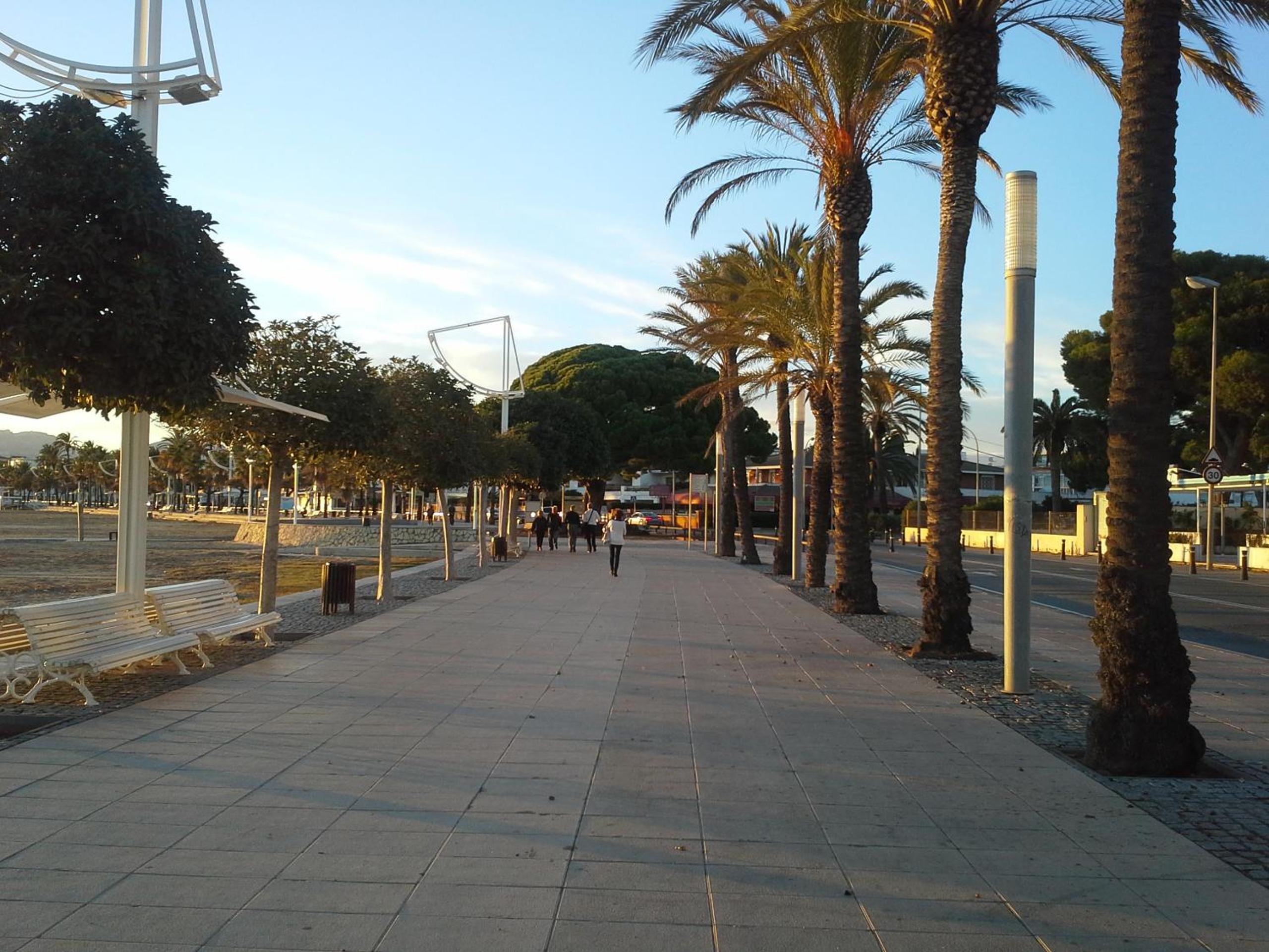 Photo 44