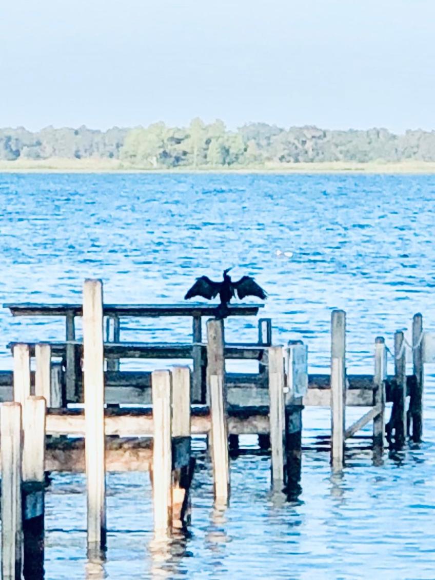 Lakeside Inn and Cafe