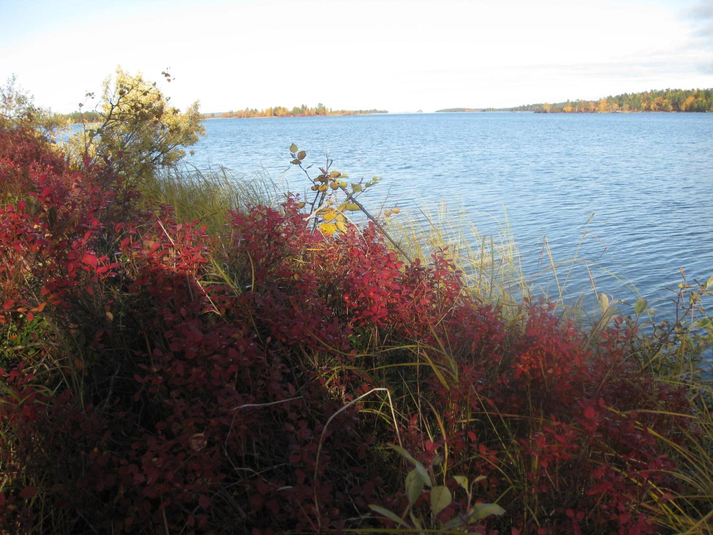 Photo 41