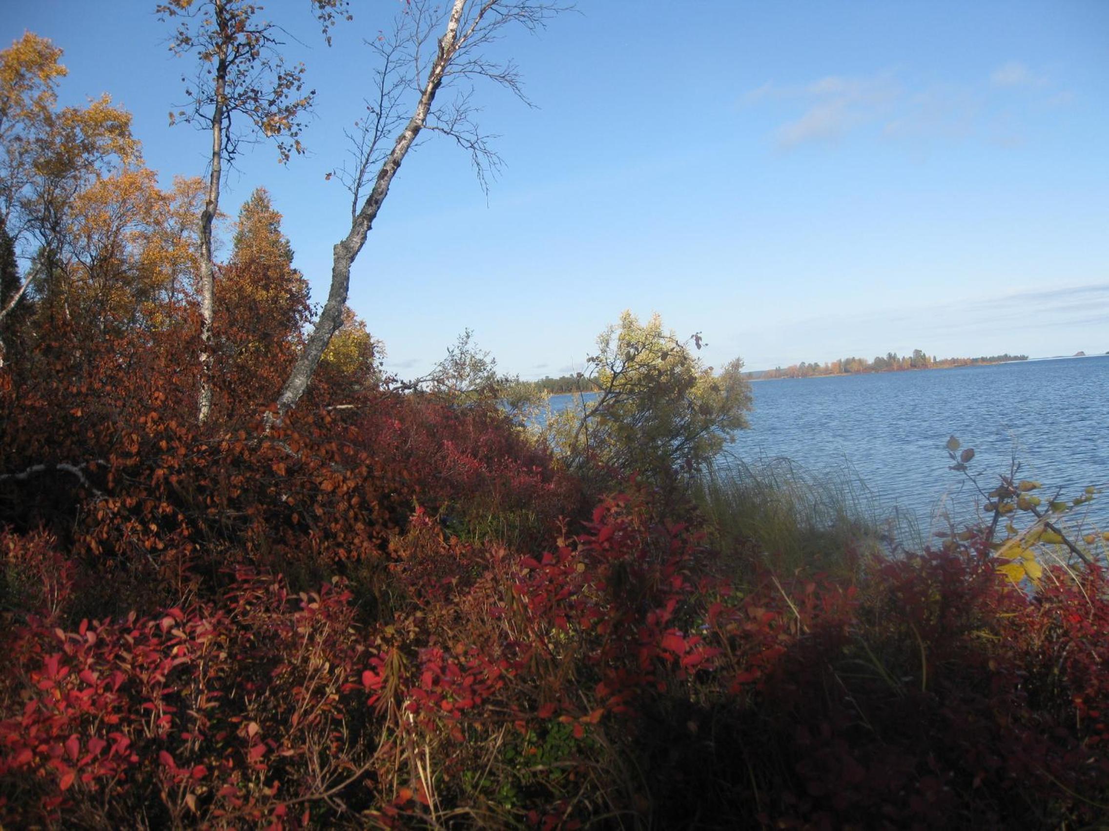 Photo 40